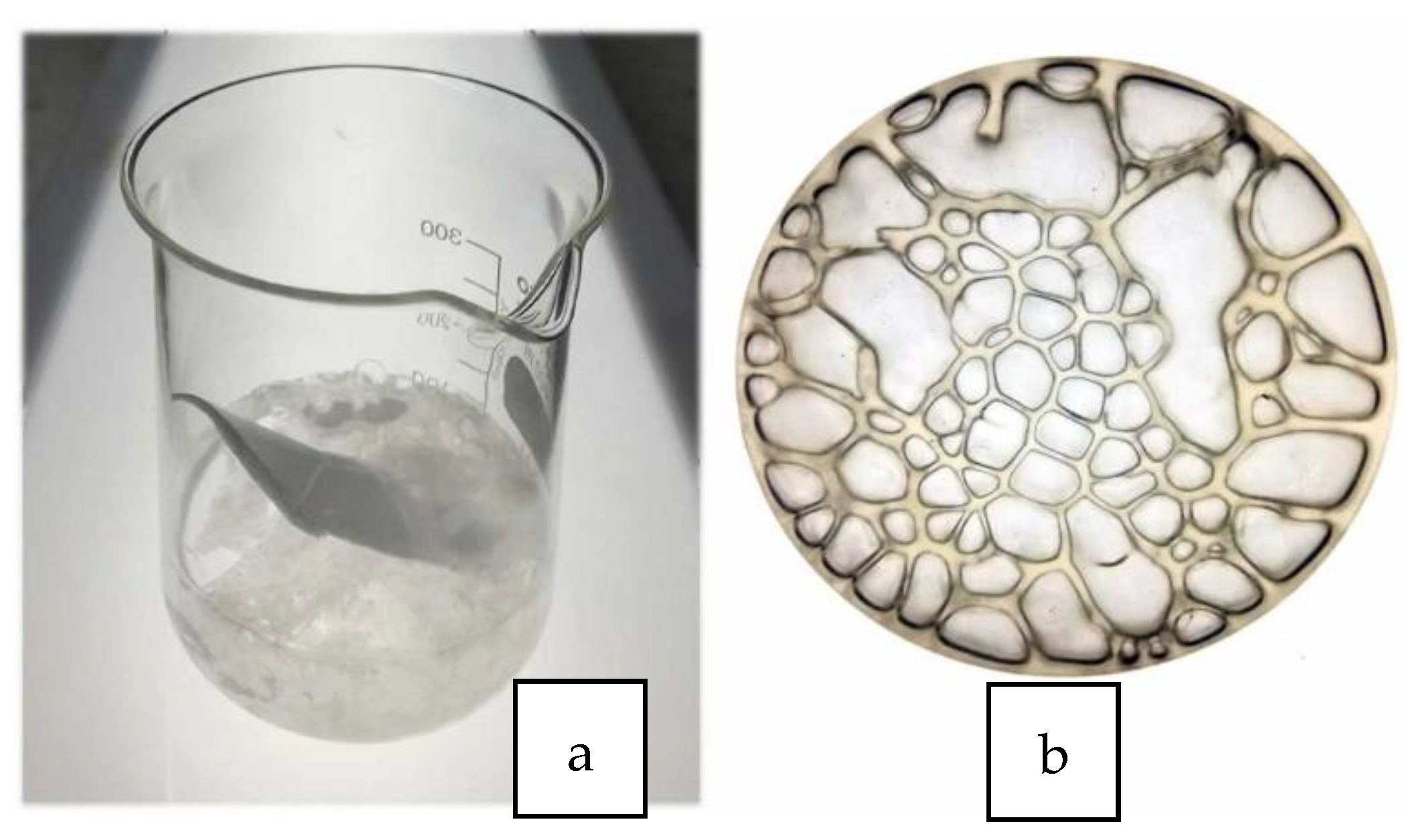 Polymers 14 05010 g015a