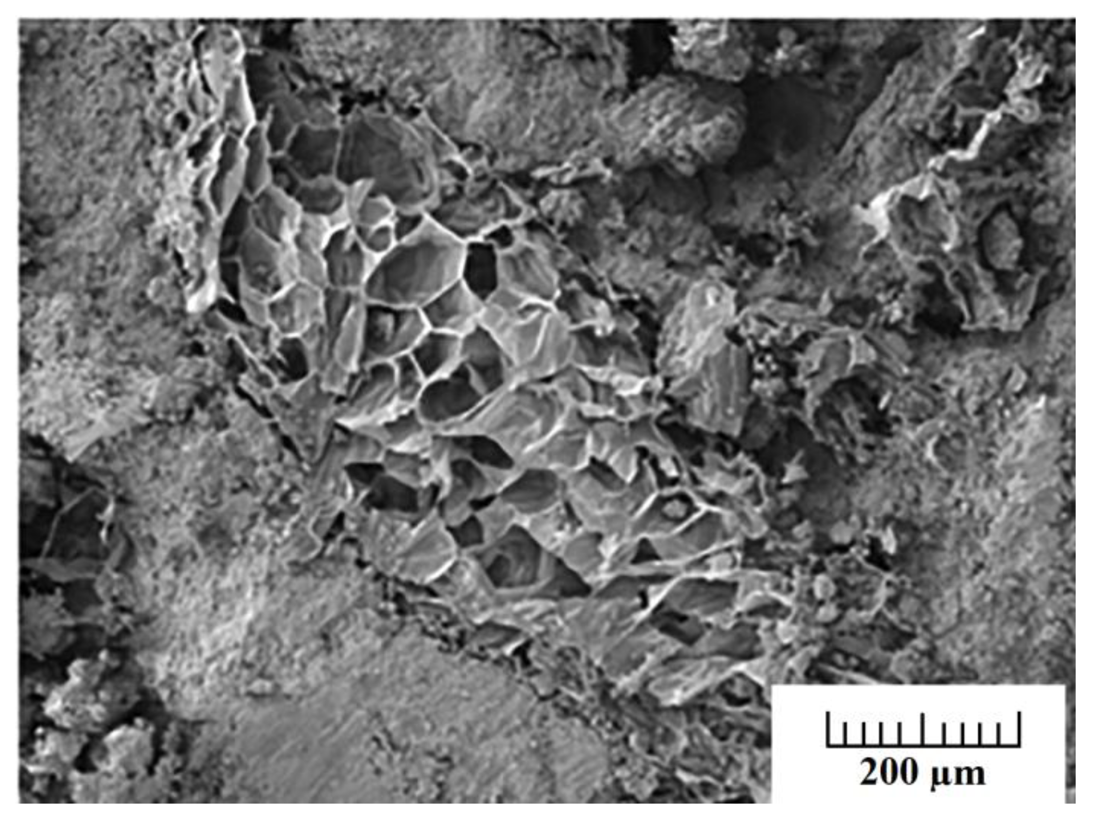 Polymers 14 05010 g021