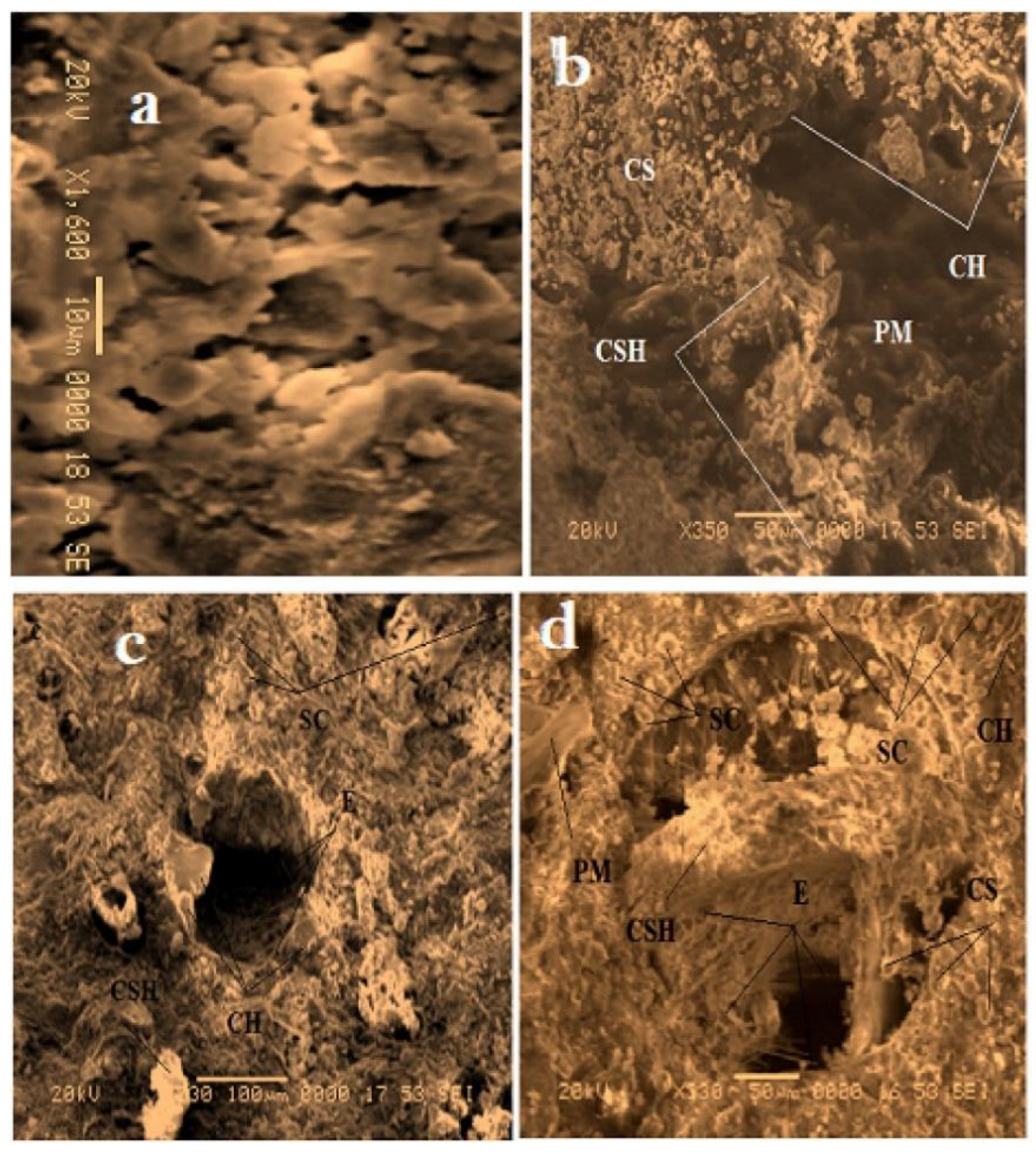 Polymers 14 05010 g026