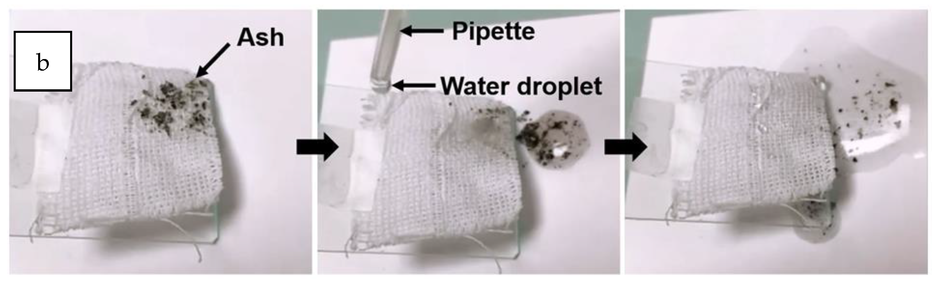 Polymers 14 05010 g029b