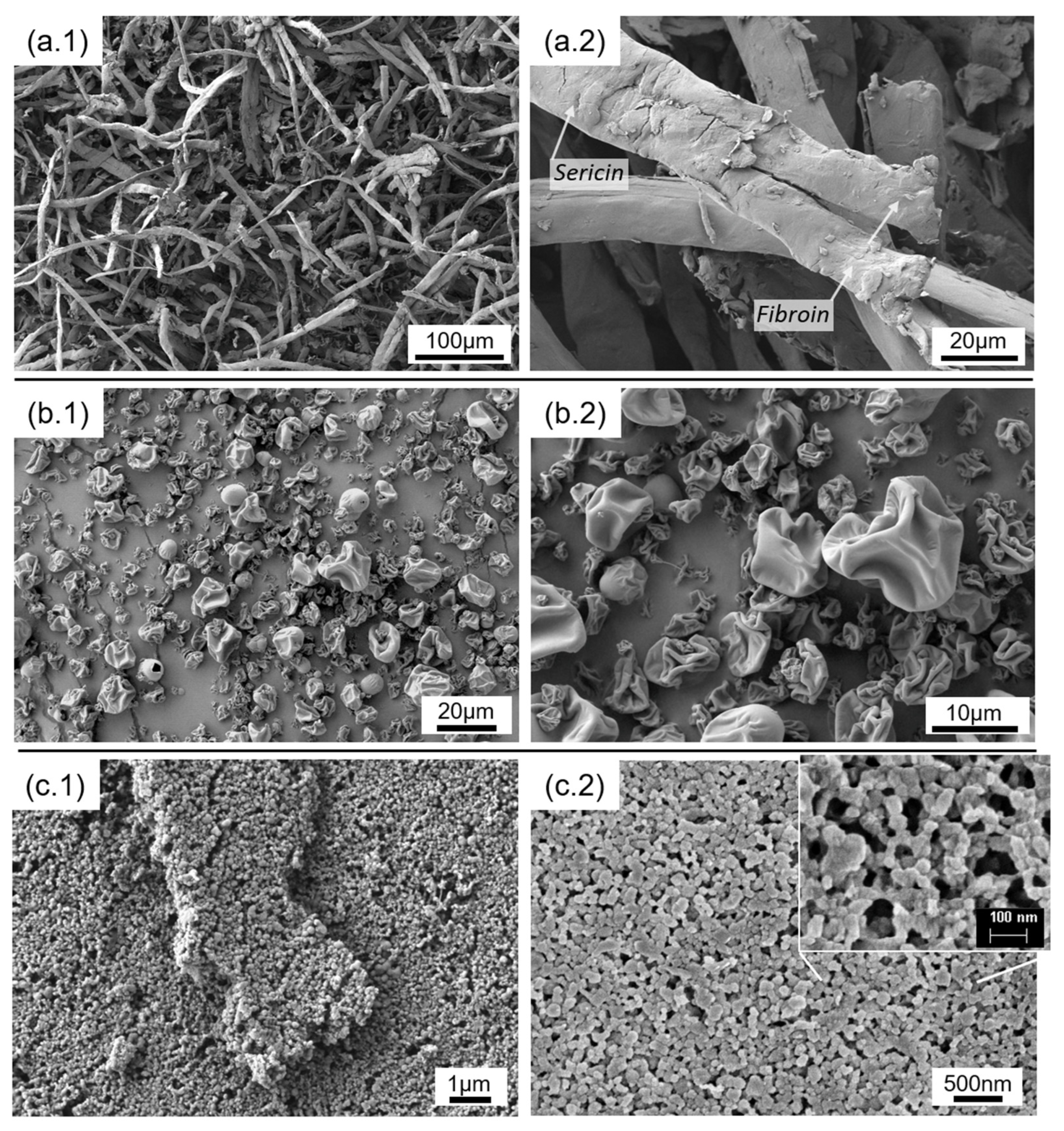 Polymers 14 05016 g002 Polymers 14 05016 g002