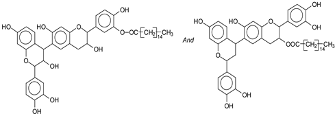 Polymers 14 05025 i005 Polymers 14 05025 i005