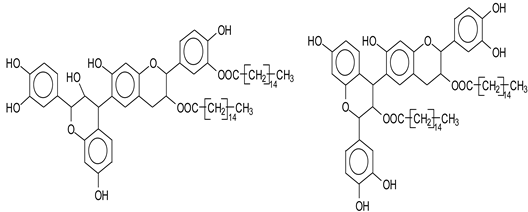 Polymers 14 05025 i007 Polymers 14 05025 i007