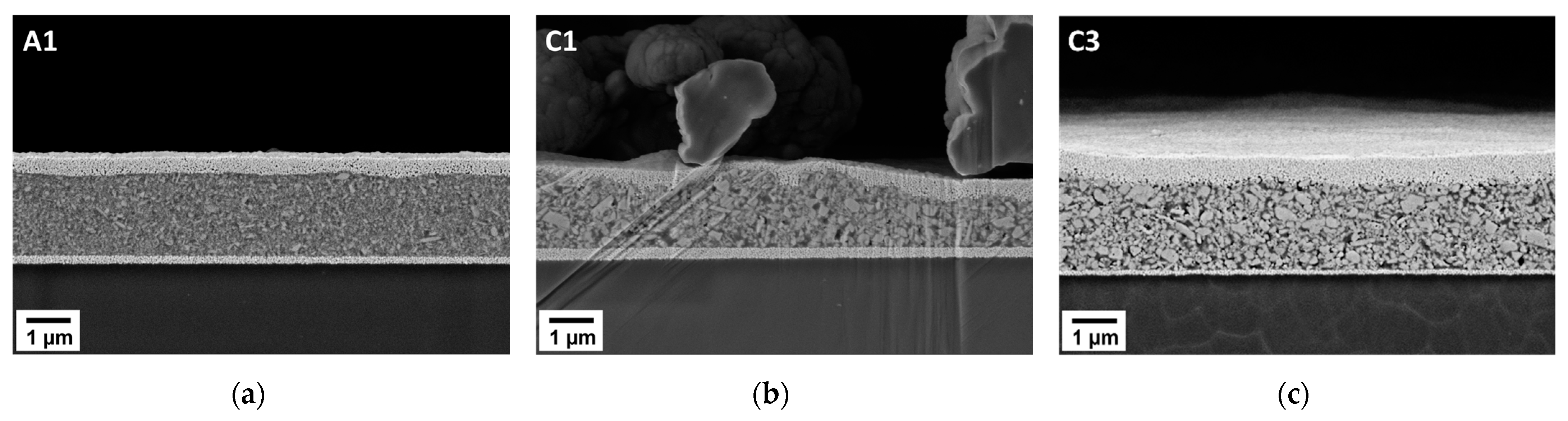 Polymers 14 05027 g004
