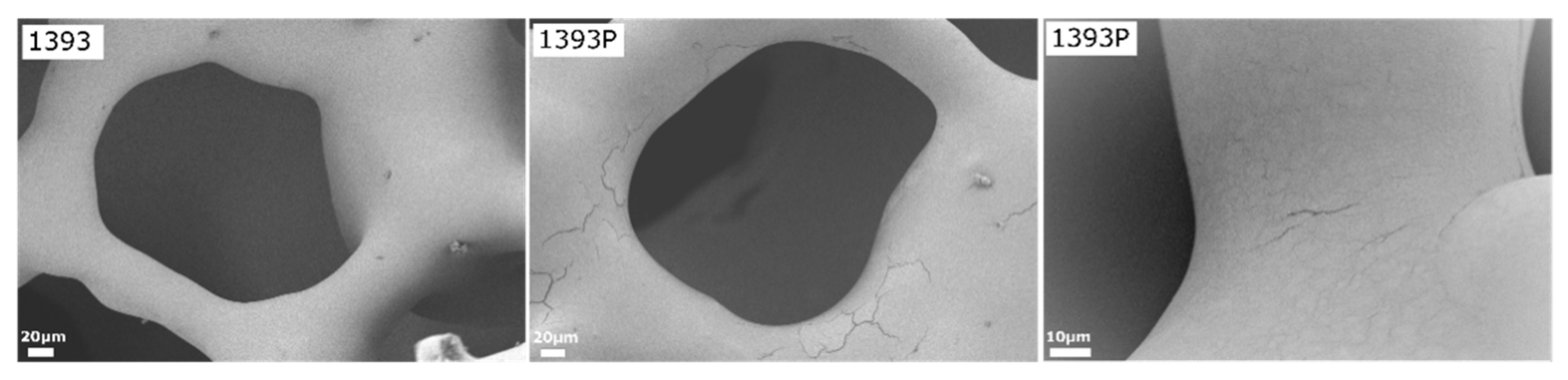 Polymers 14 05028 g005