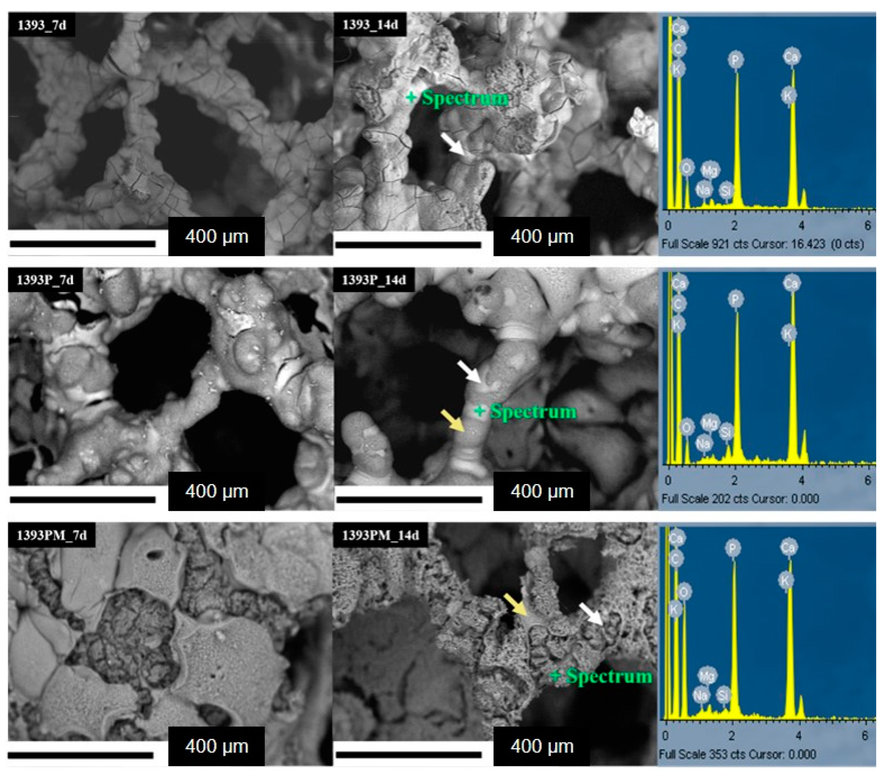 Polymers 14 05028 g011