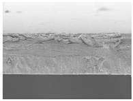 Polymers 14 05042 i007 Polymers 14 05042 i007