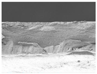 Polymers 14 05042 i011 Polymers 14 05042 i011