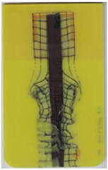 Polymers 14 05060 i005 Polymers 14 05060 i005