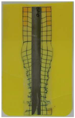 Polymers 14 05060 i006 Polymers 14 05060 i006