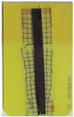 Polymers 14 05060 i009 Polymers 14 05060 i009