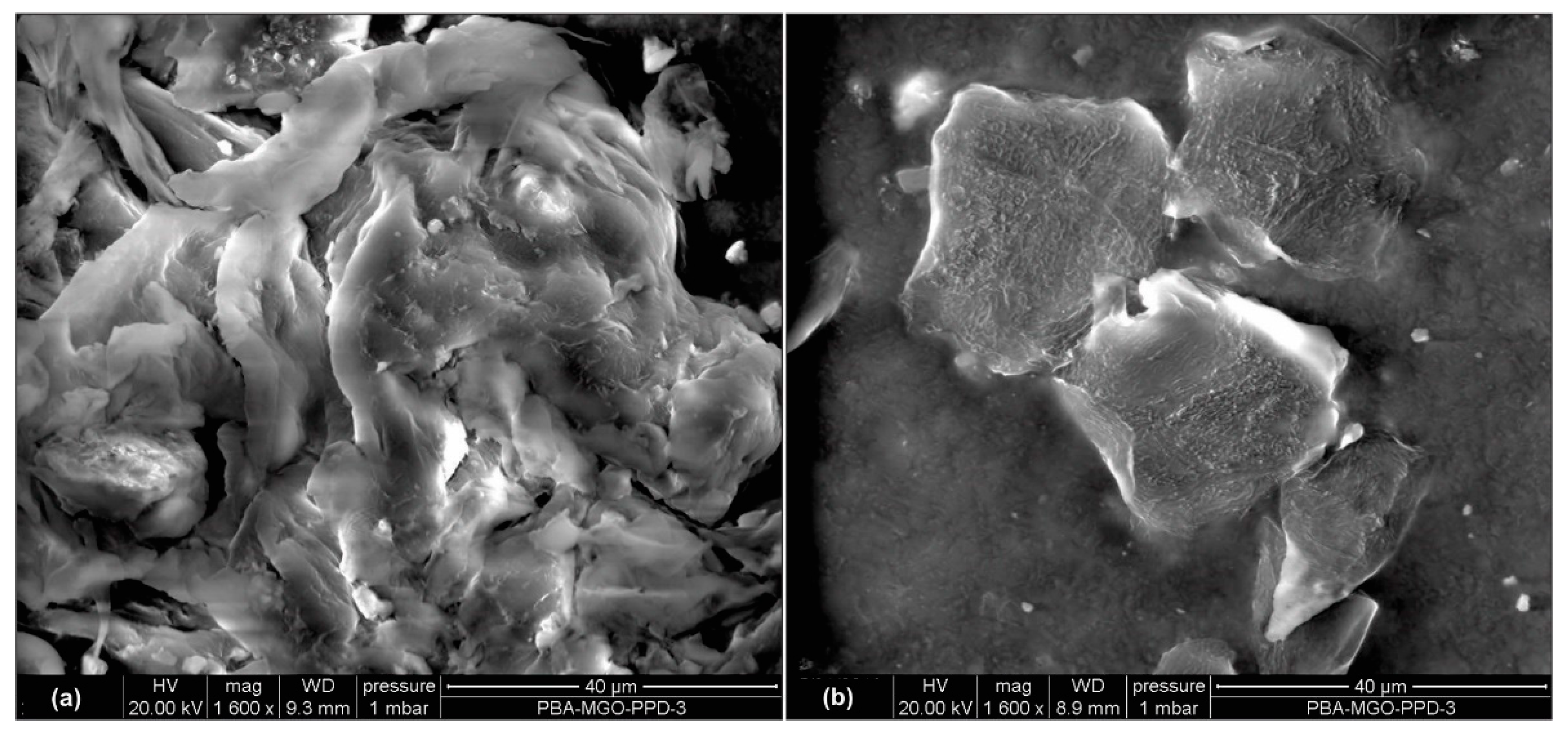 Polymers 14 05067 g013