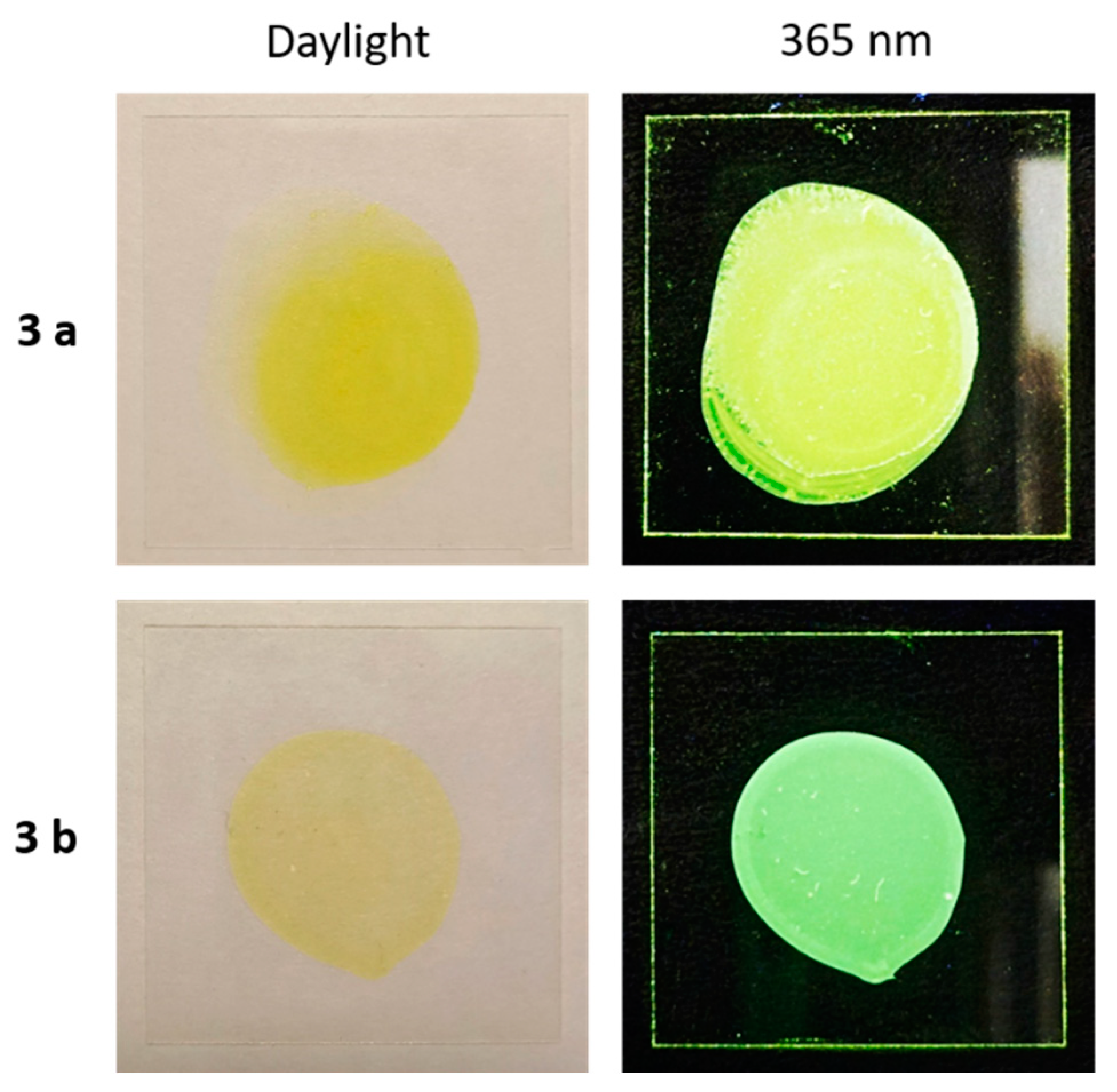 Polymers 14 05075 g010