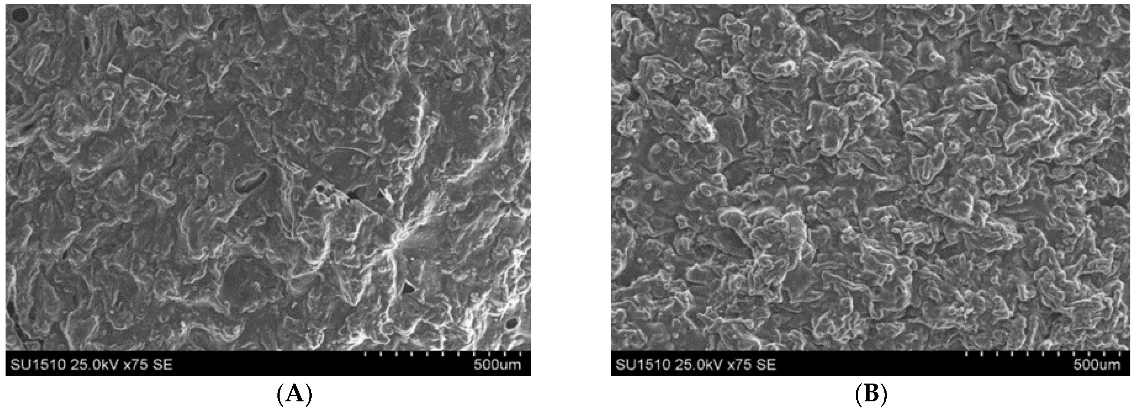 Polymers 14 05090 g007 Polymers 14 05090 g007