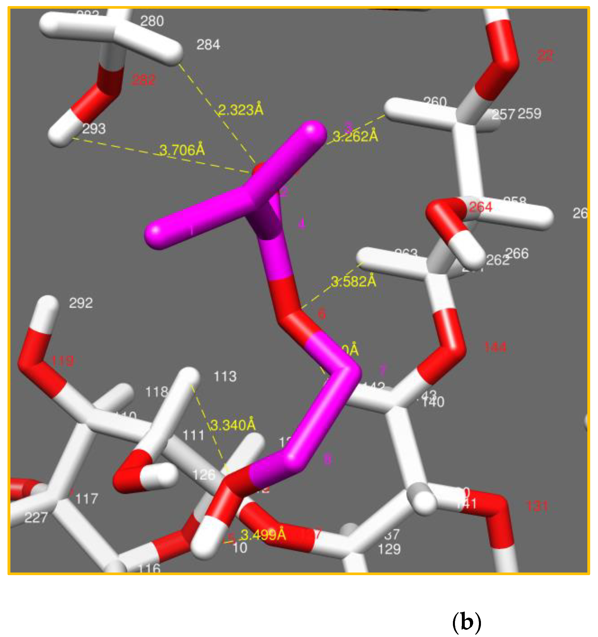 Polymers 14 05090 g011b Polymers 14 05090 g011b