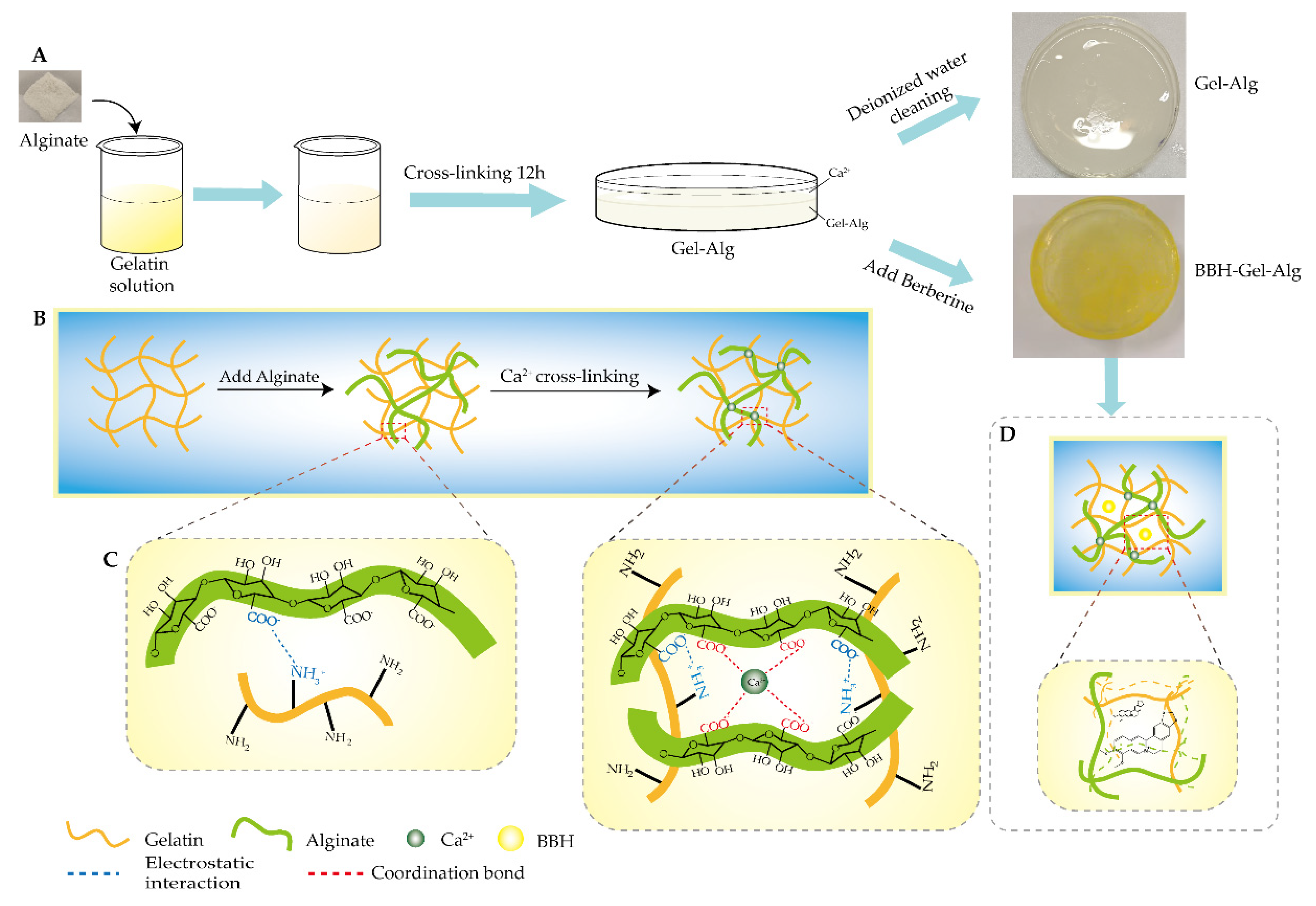 Polymers 14 05101 g001