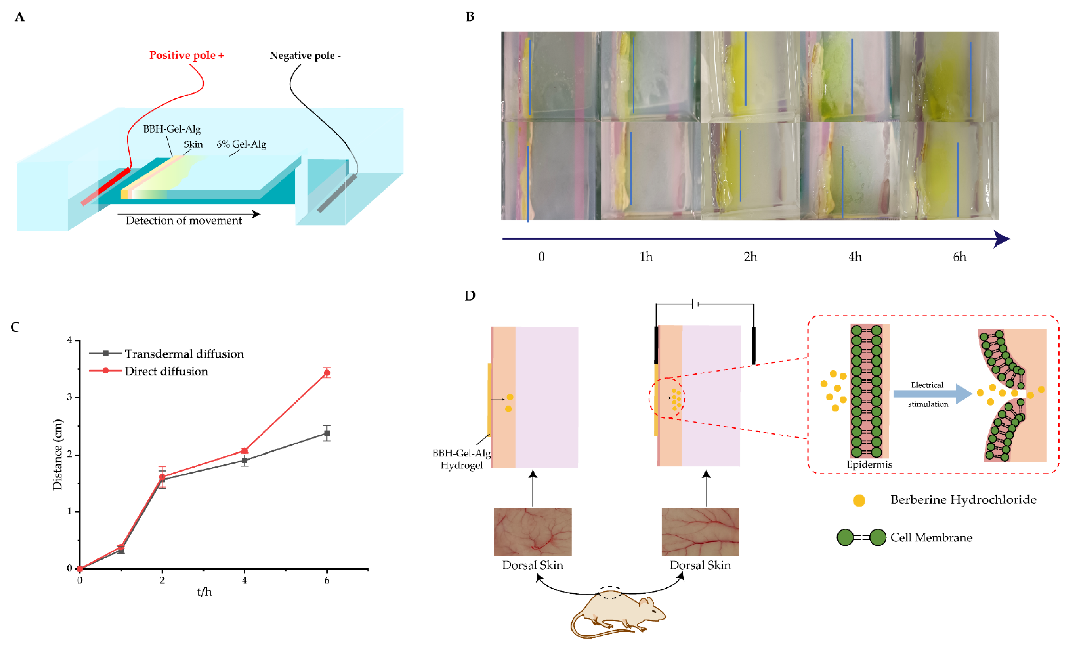 Polymers 14 05101 g007