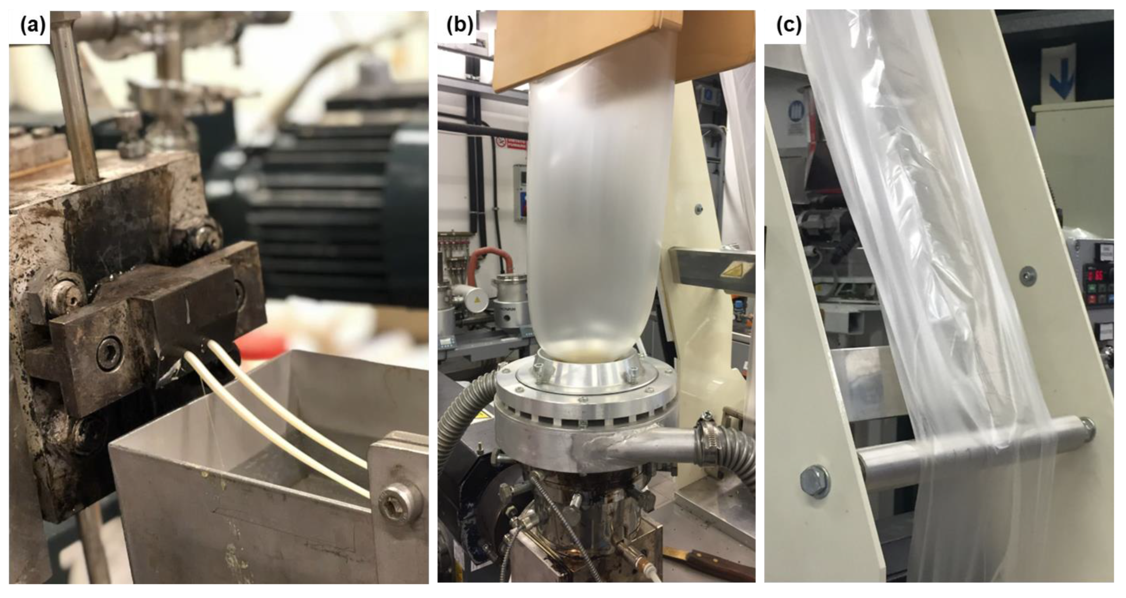 Polymers 14 05104 g001