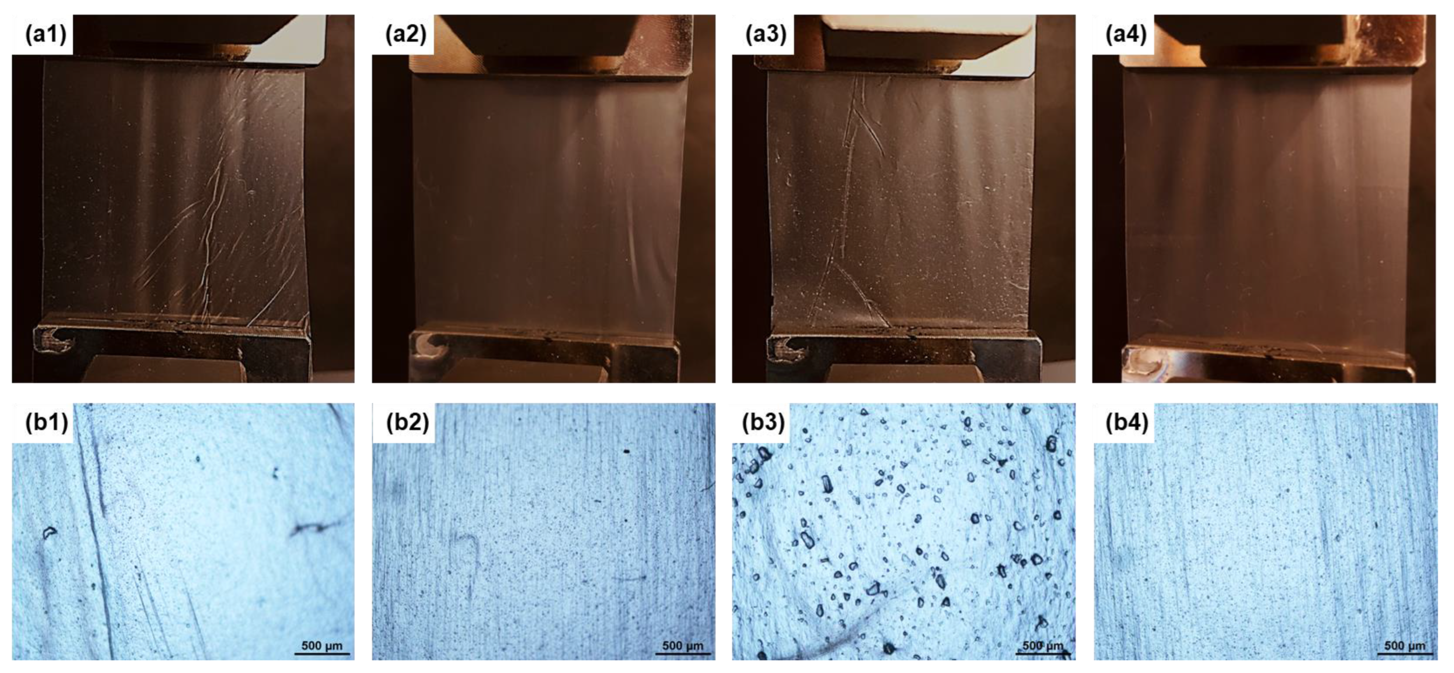 Polymers 14 05104 g002