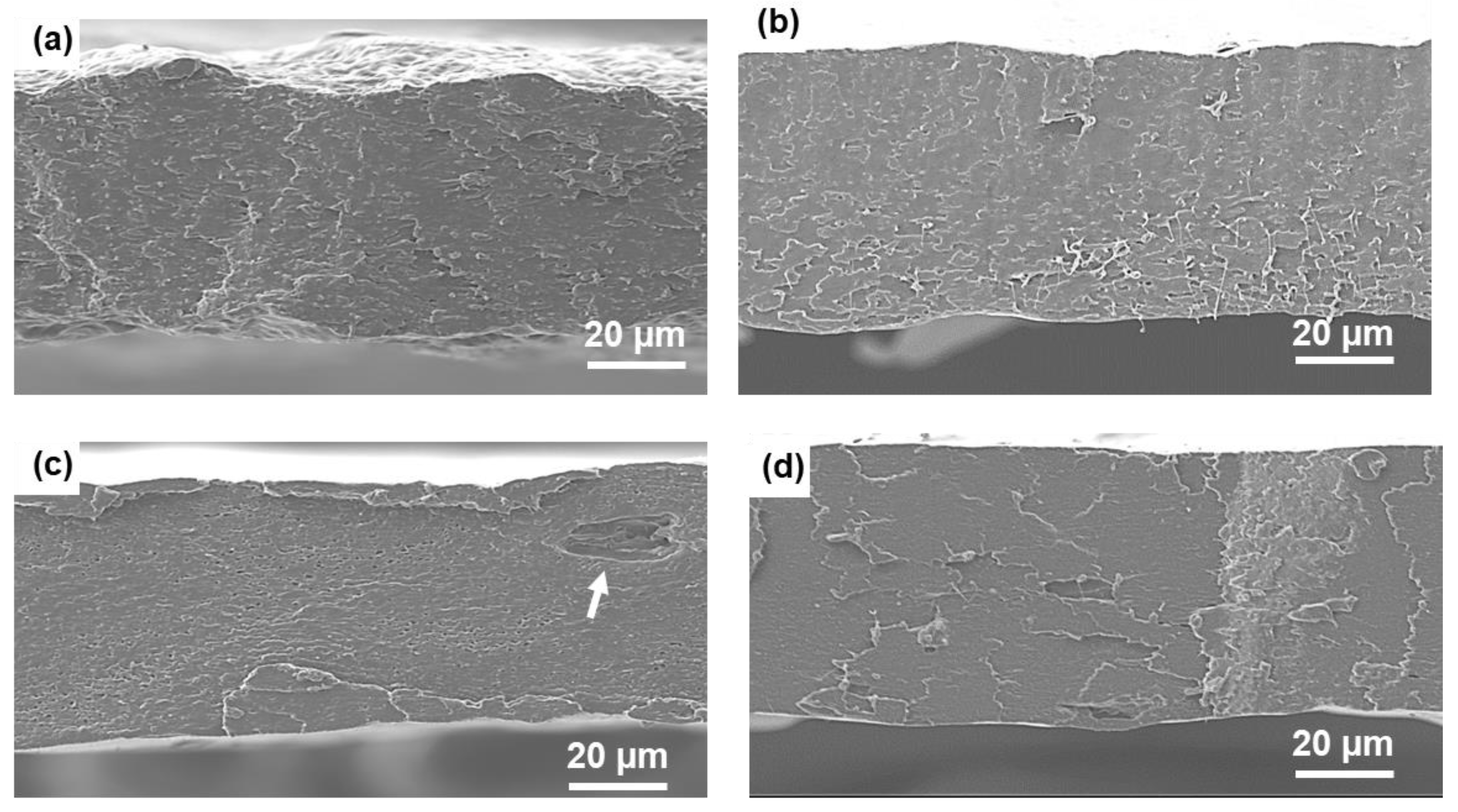 Polymers 14 05104 g003