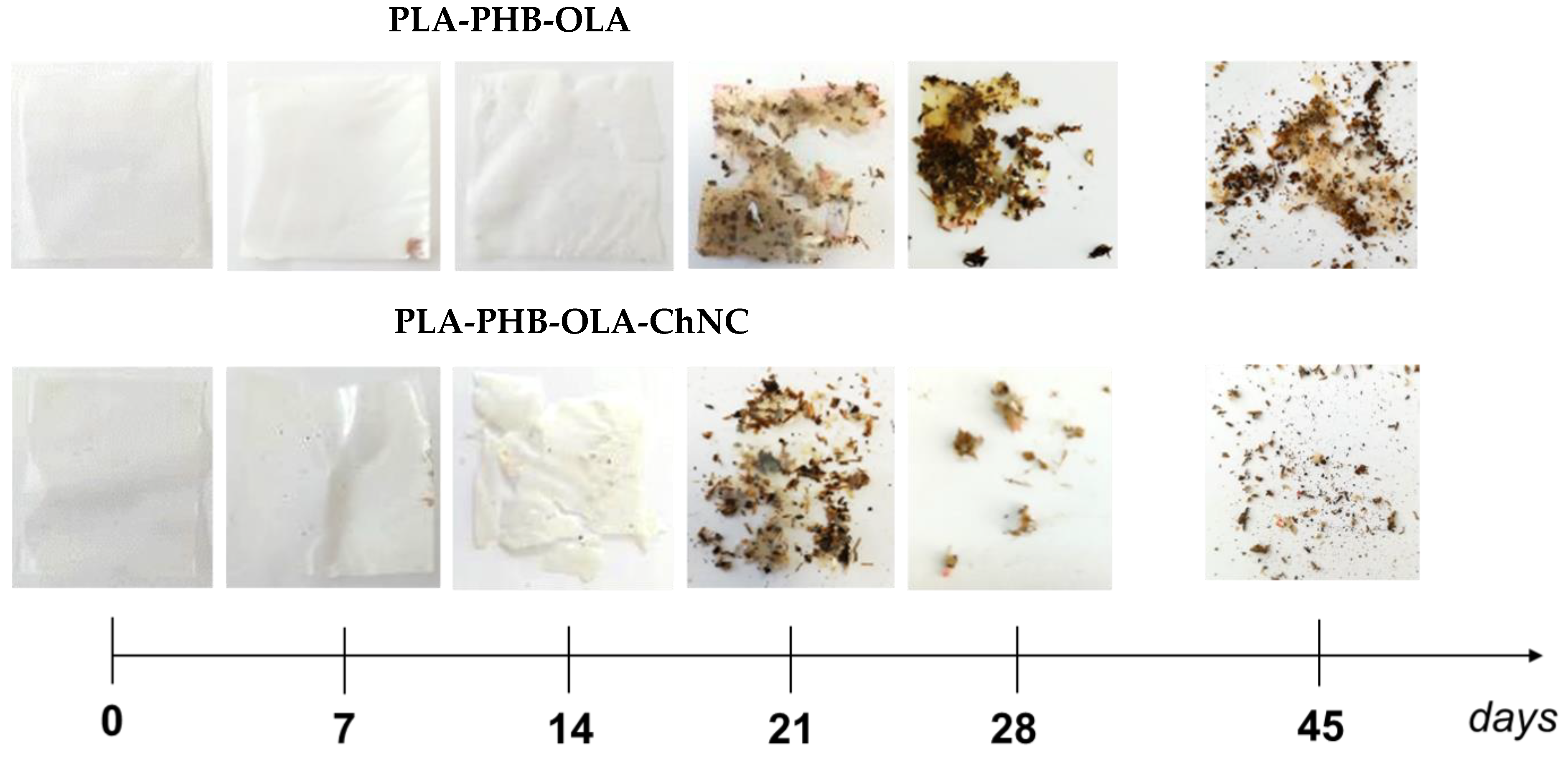 Polymers 14 05104 g004