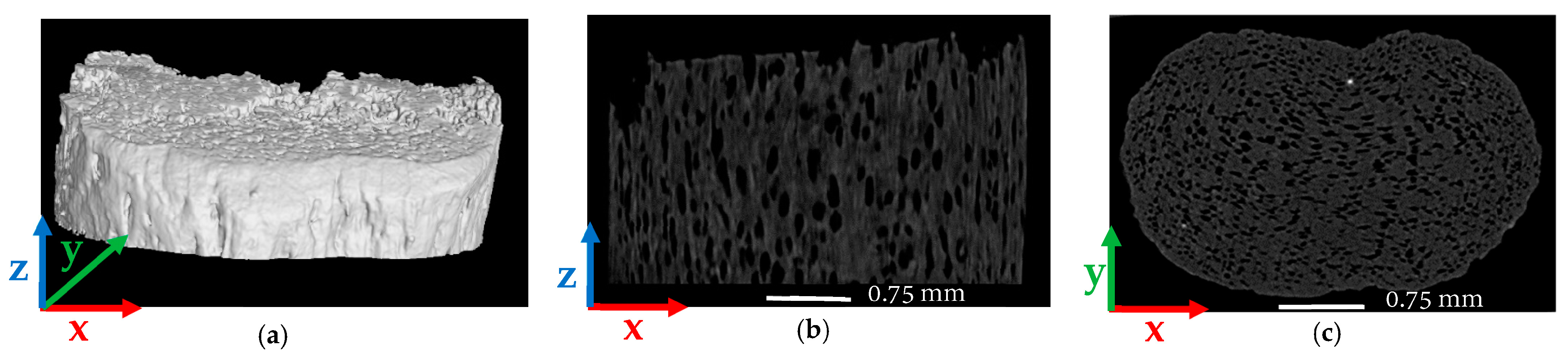 Polymers 14 05107 g002