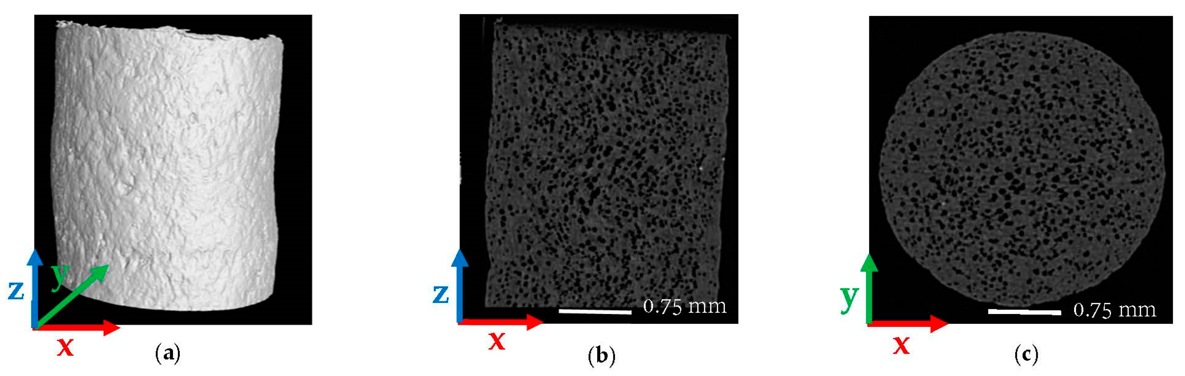 Polymers 14 05107 g004