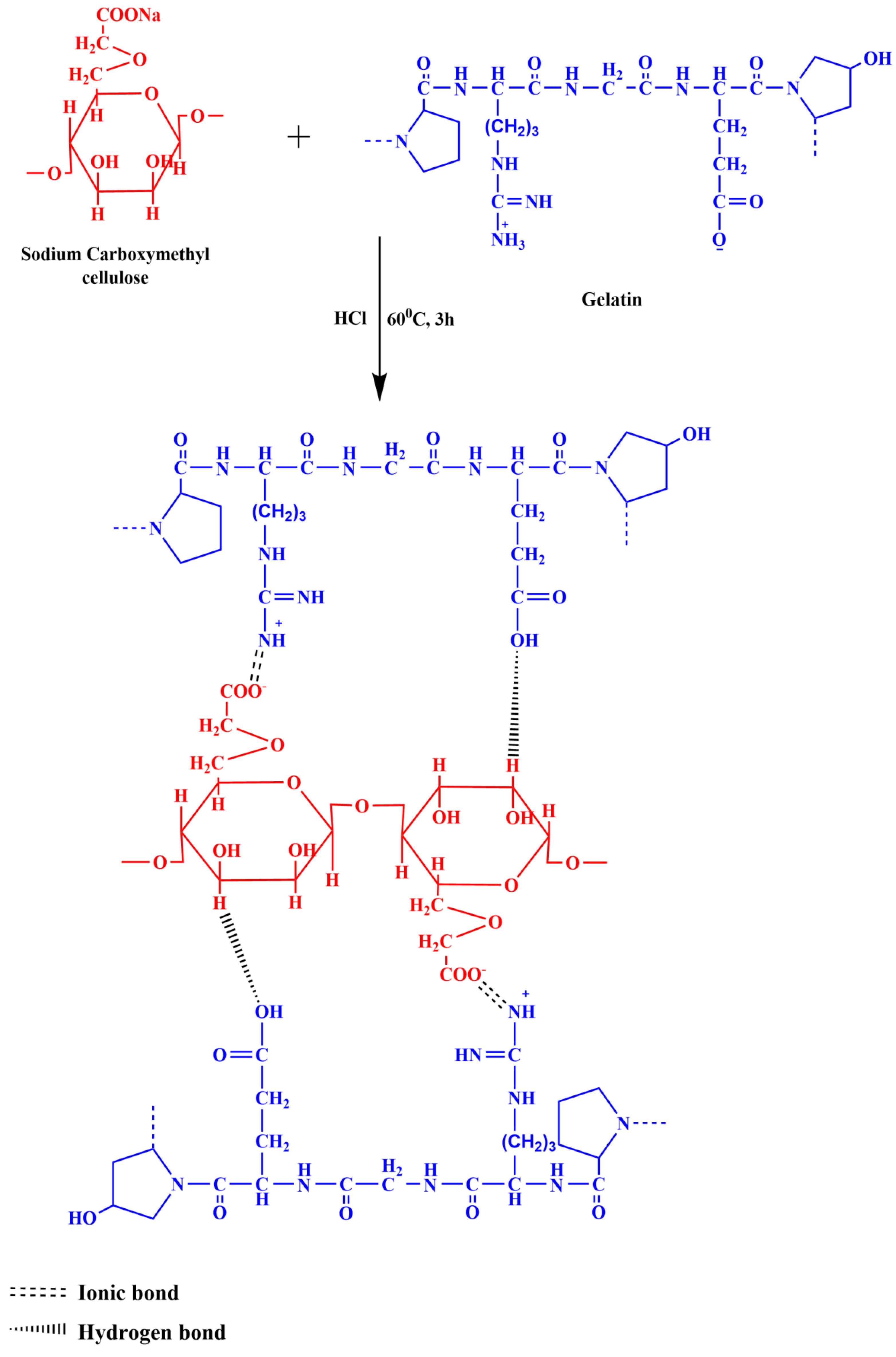 Polymers 14 05114 g003