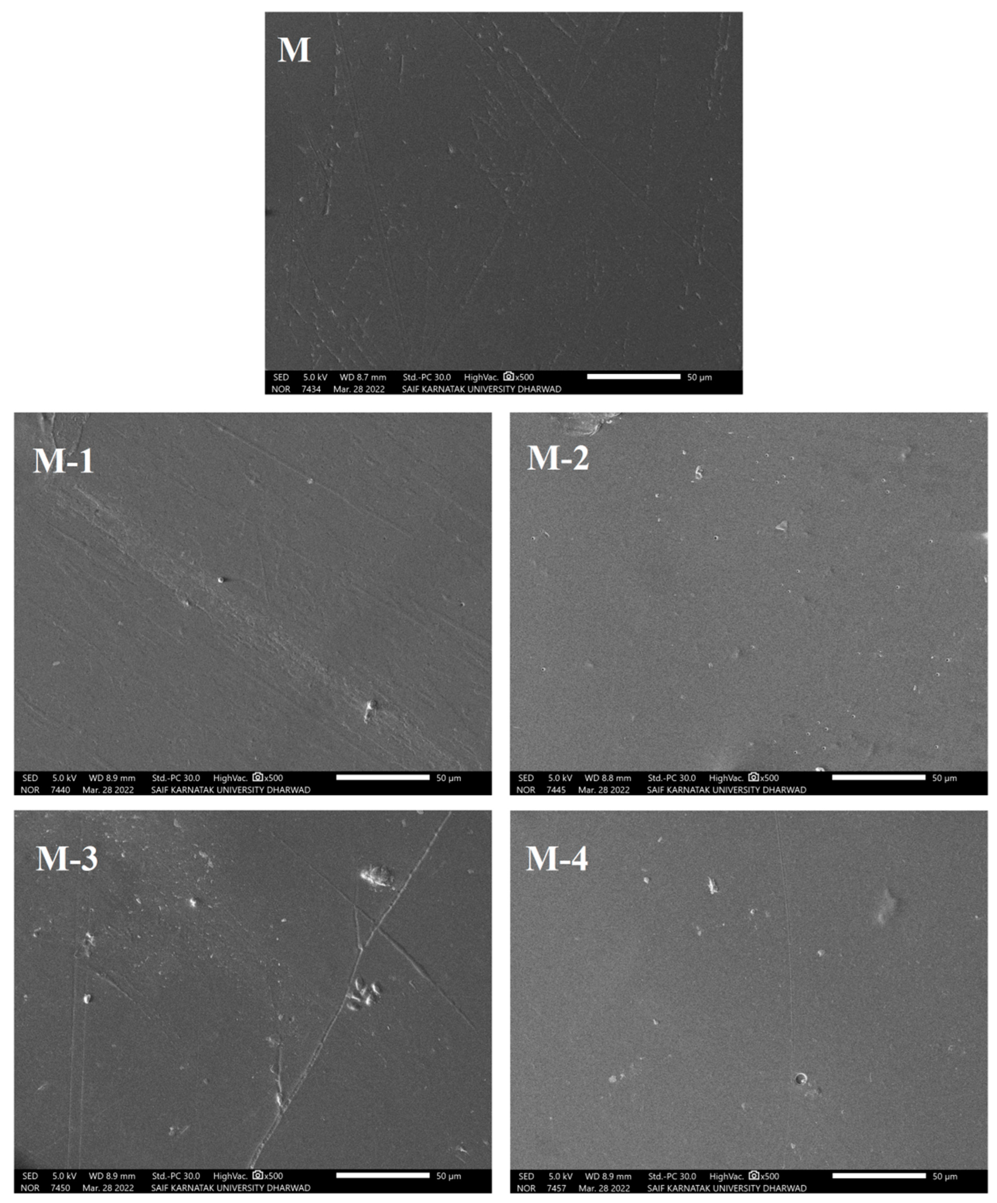 Polymers 14 05114 g004