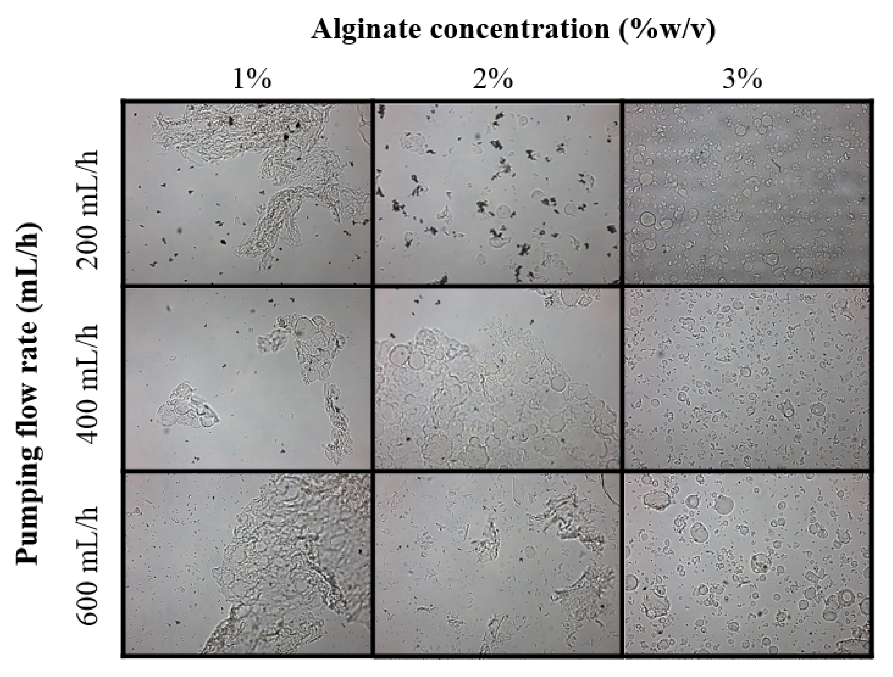 Polymers 14 05115 g001