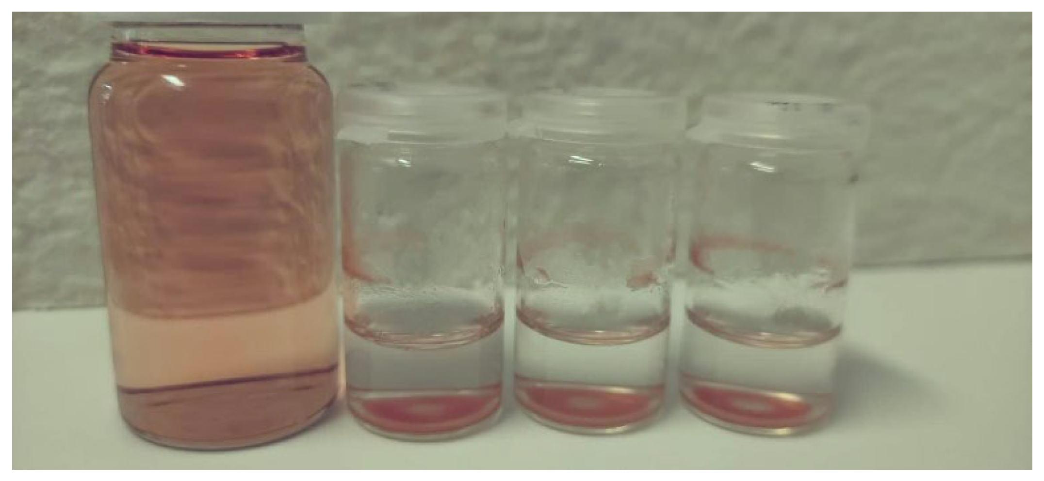 Polymers 14 05122 g009