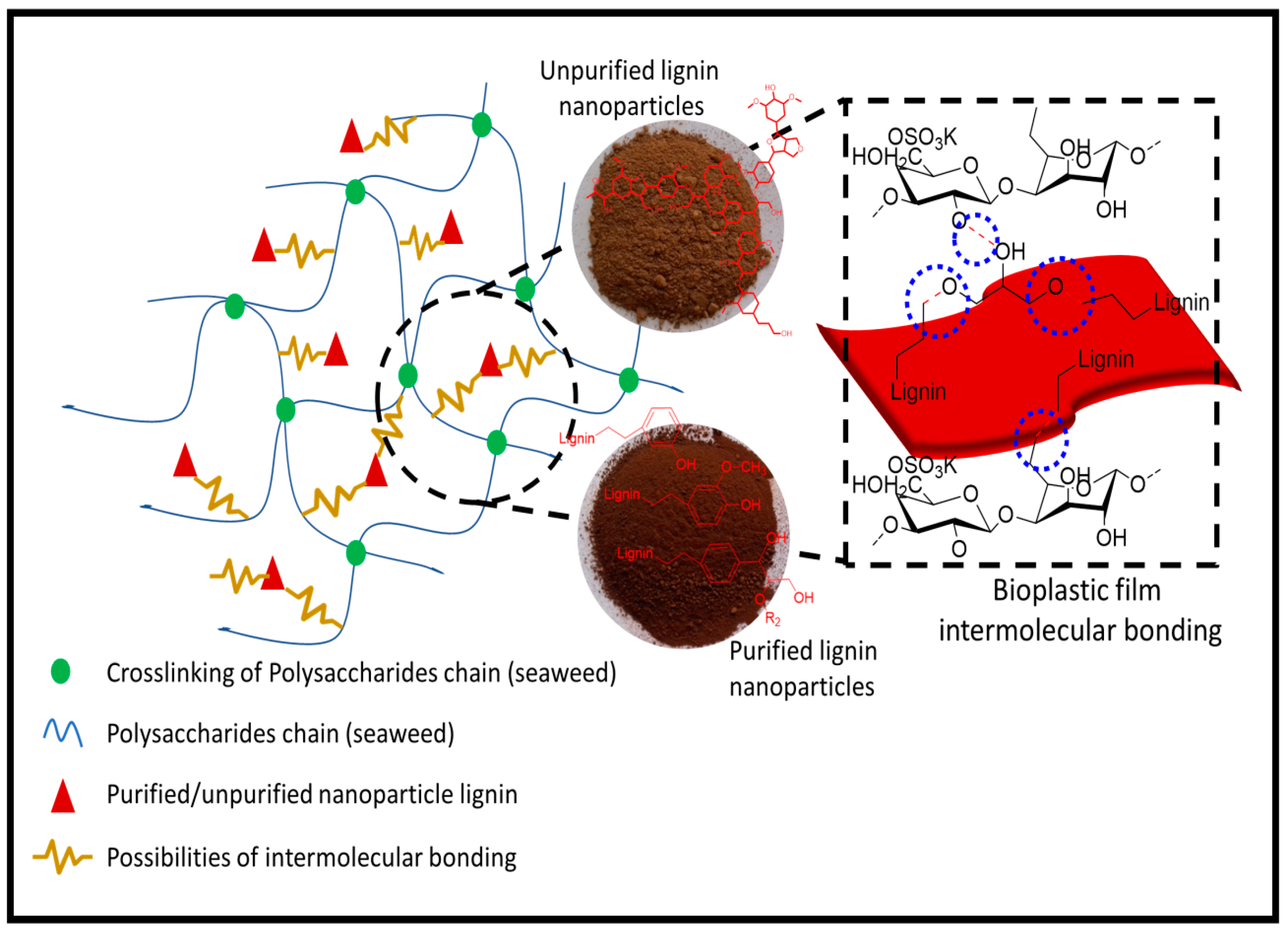 Polymers 14 05126 g006 Polymers 14 05126 g006