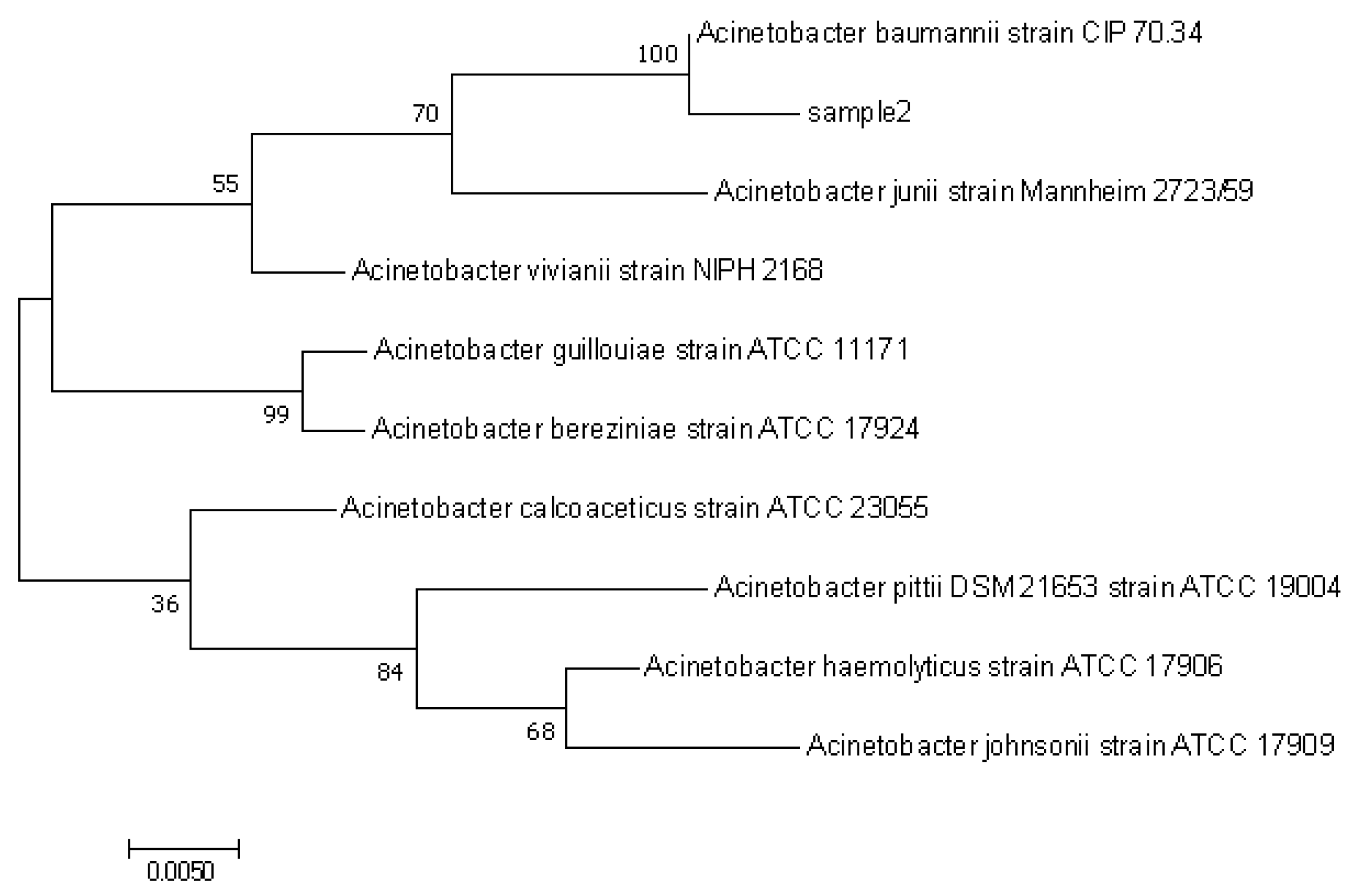 Polymers 14 05127 g001