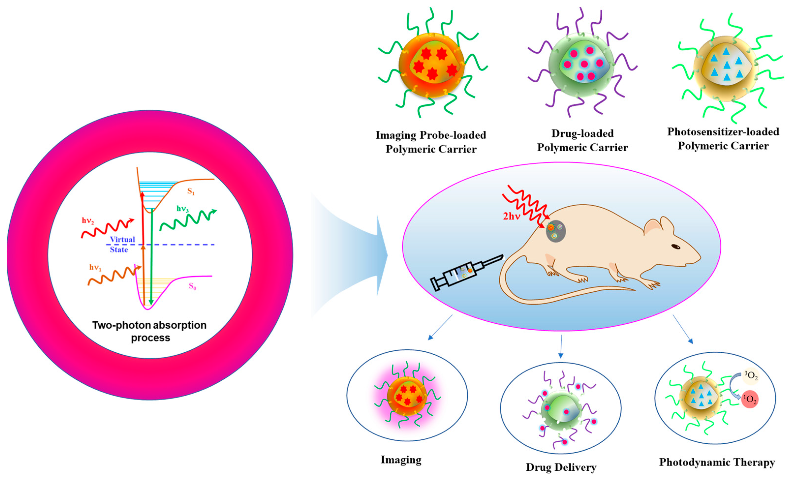 Polymers 14 05134 g001