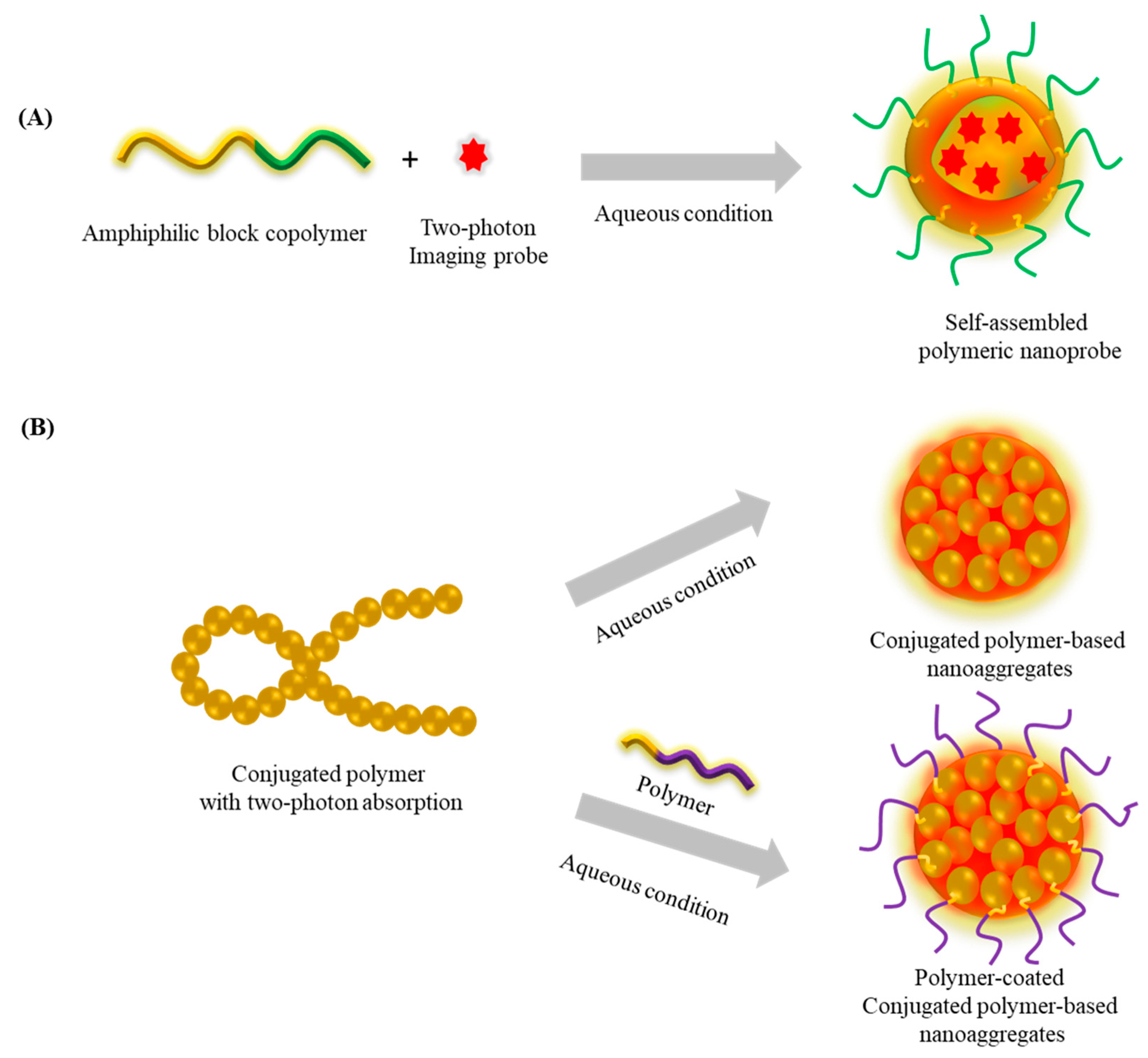 Polymers 14 05134 g002