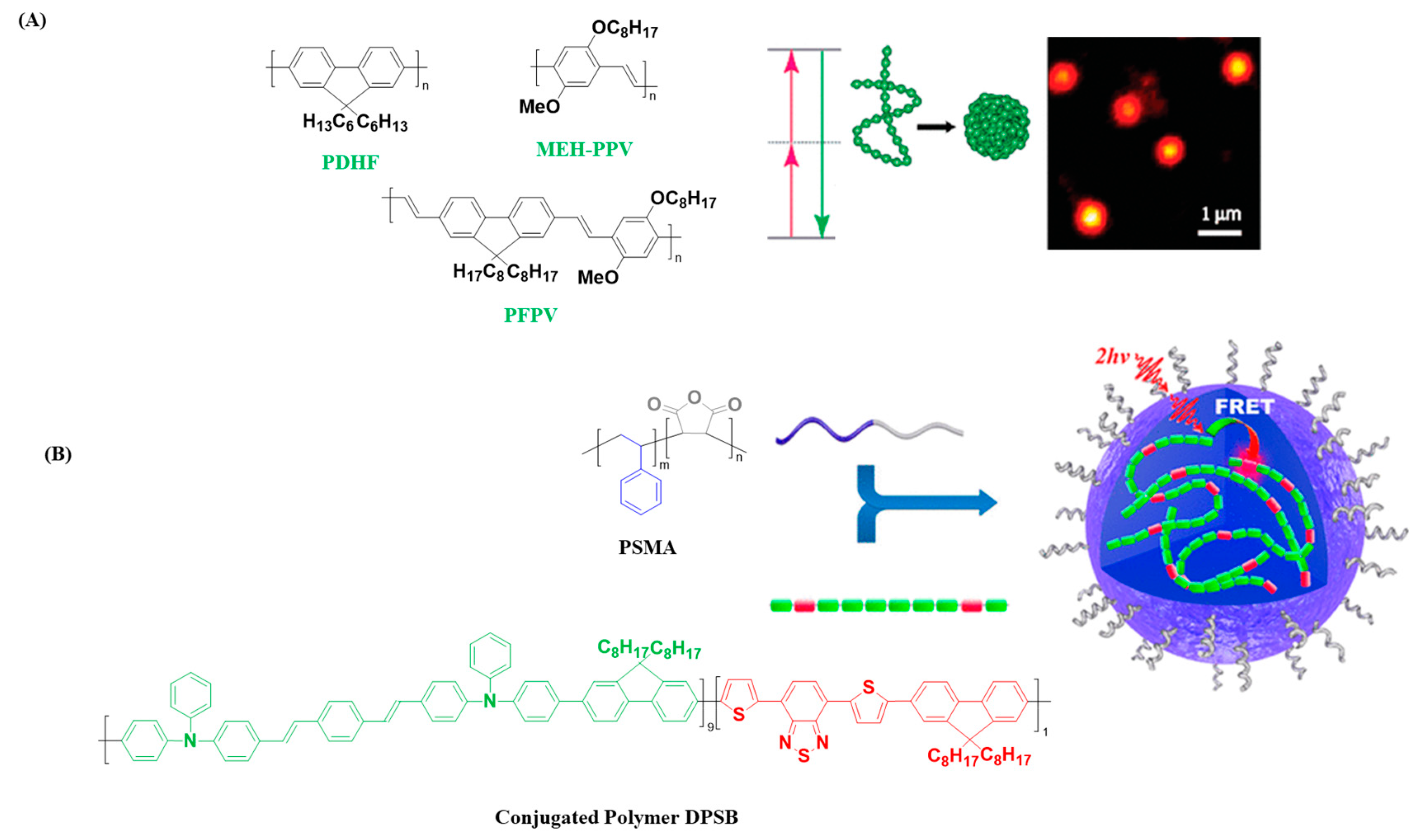 Polymers 14 05134 g004