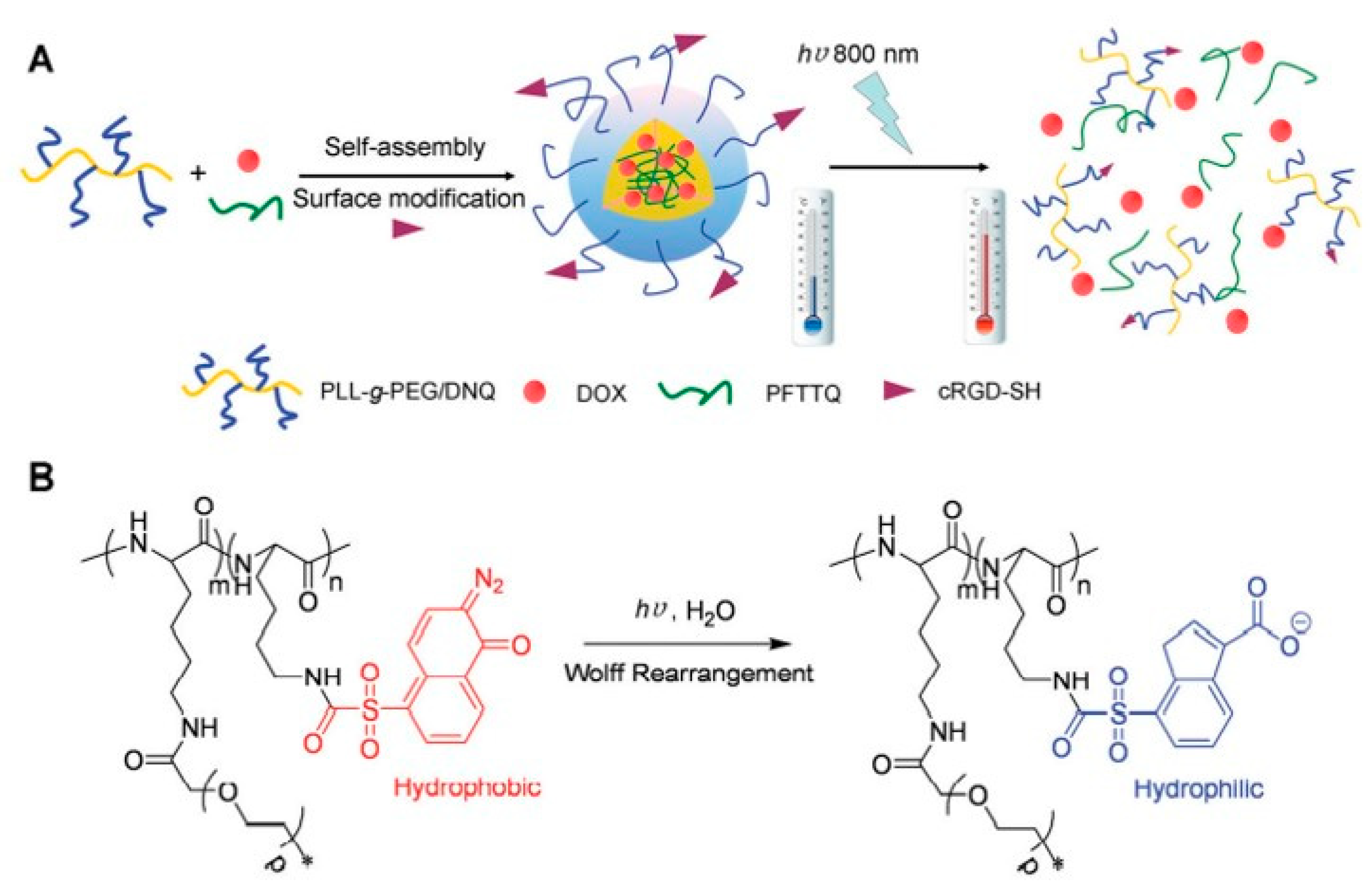 Polymers 14 05134 g005