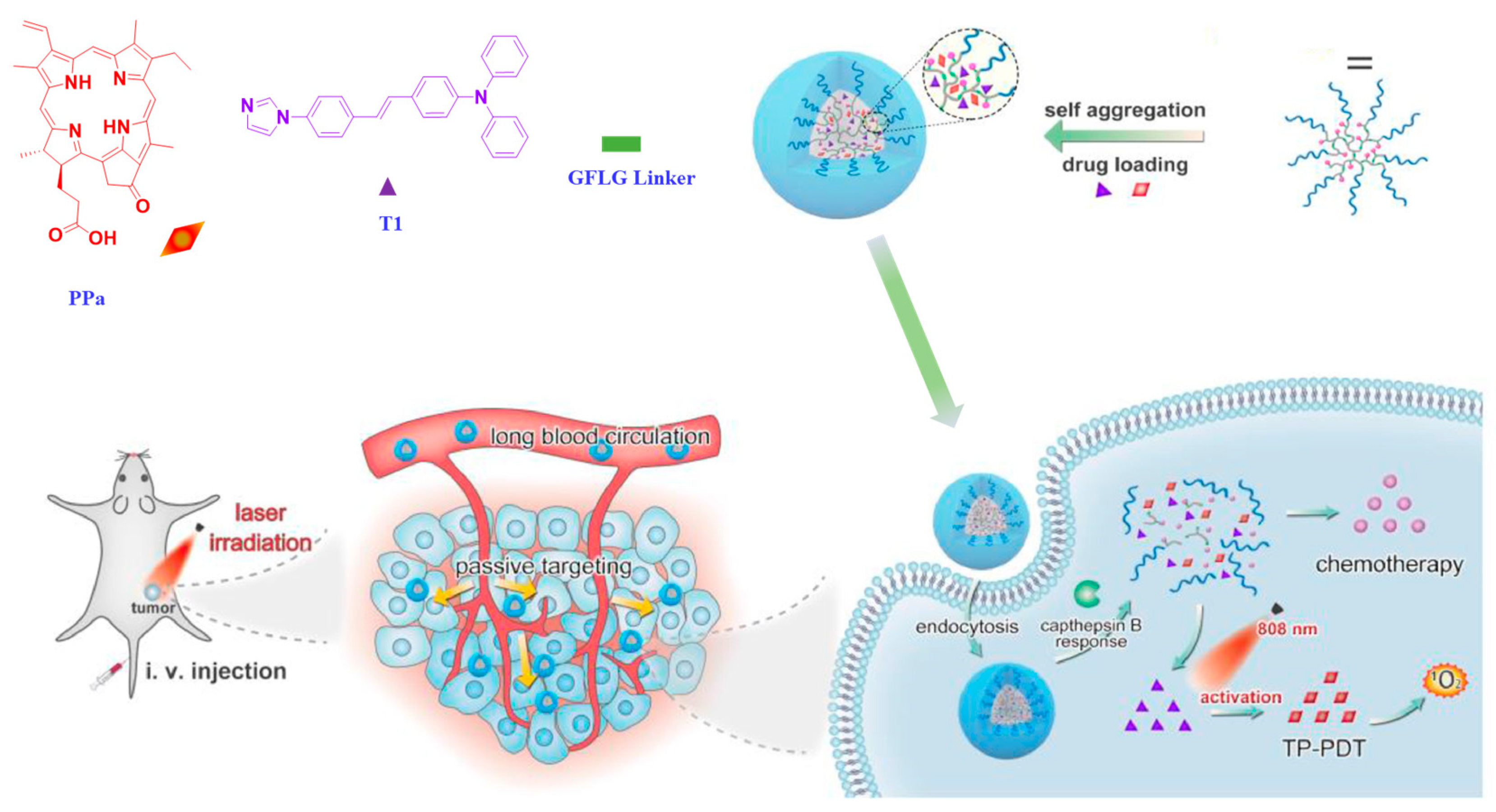 Polymers 14 05134 g007