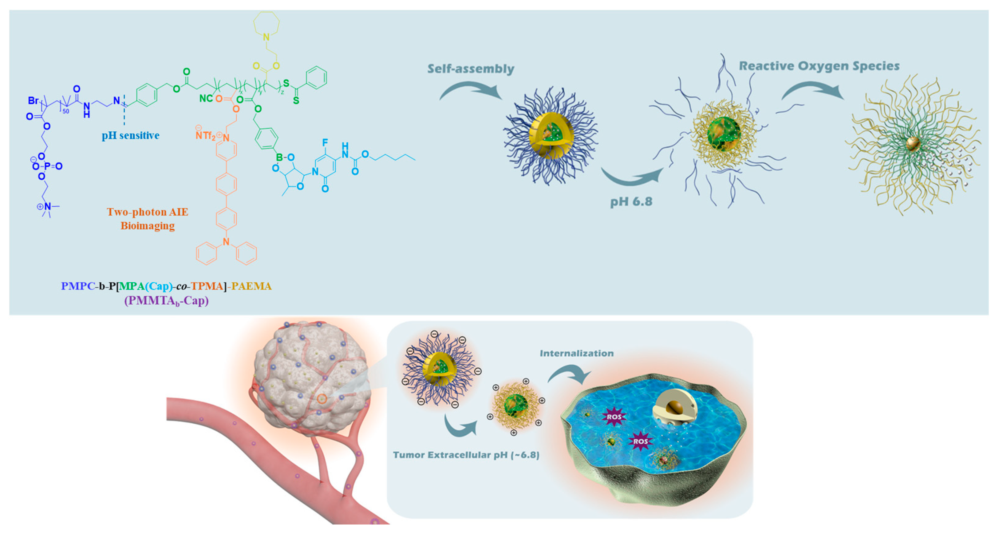 Polymers 14 05134 g008