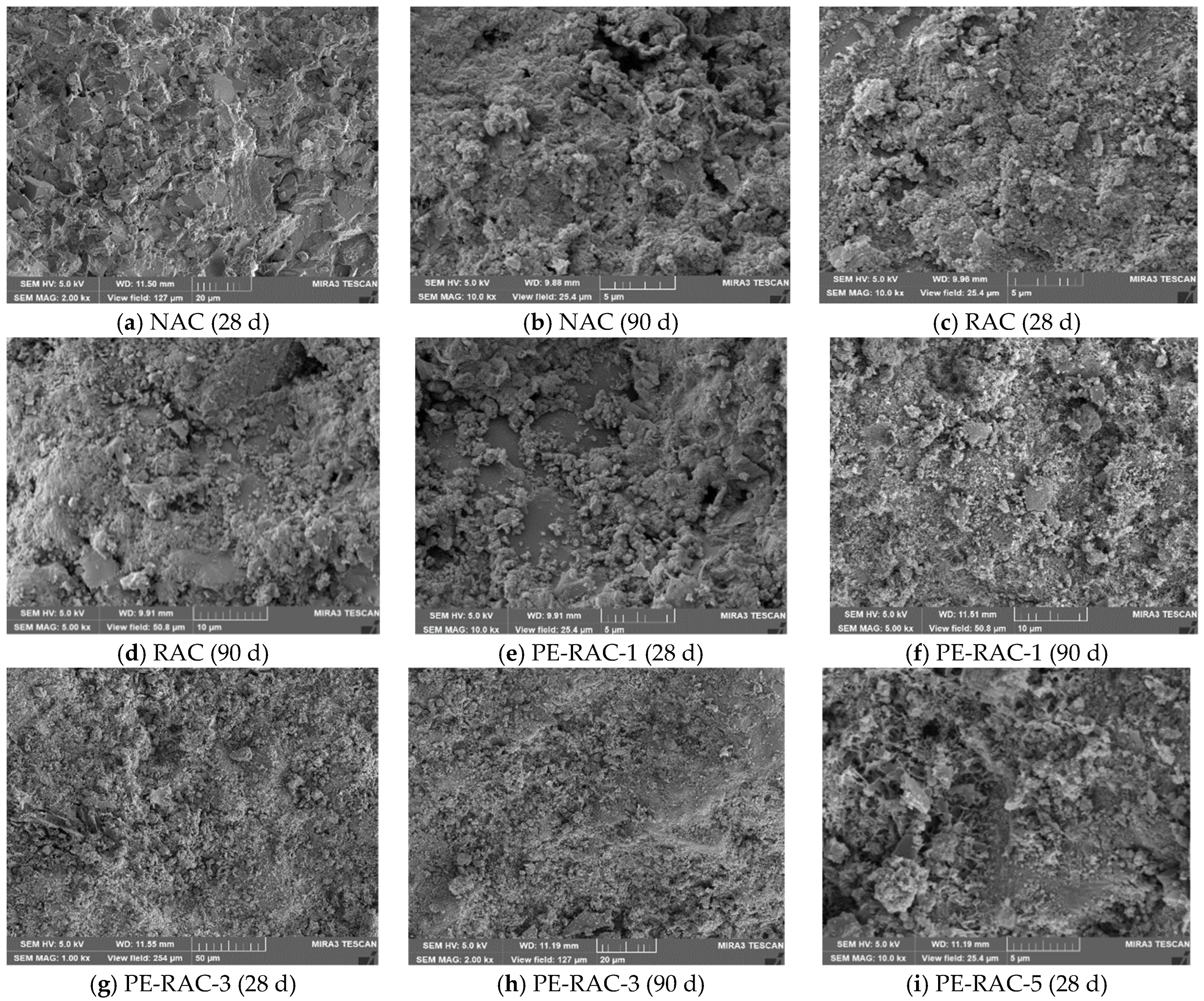 Polymers 14 05137 g010a