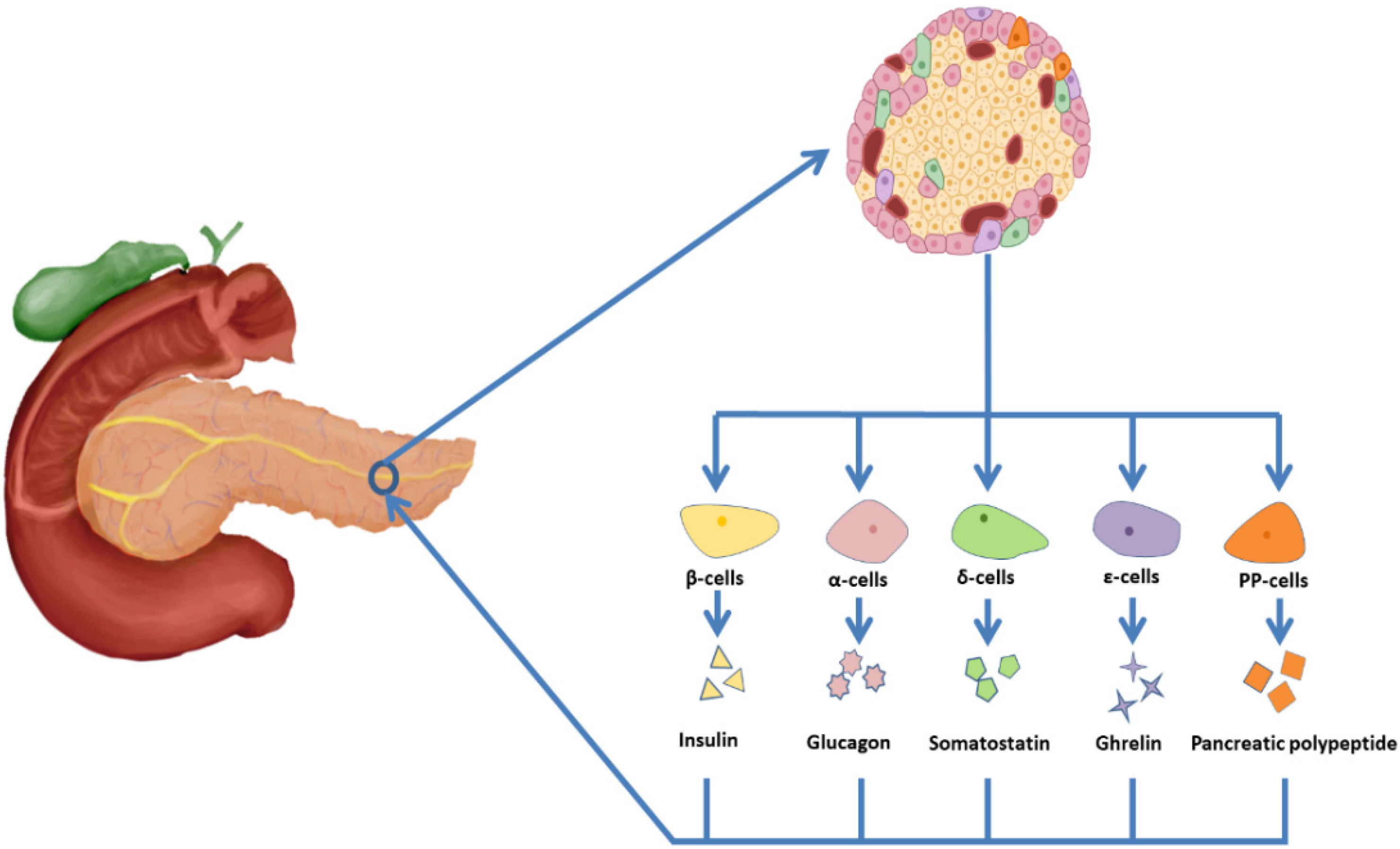 Polymers 14 05143 g002