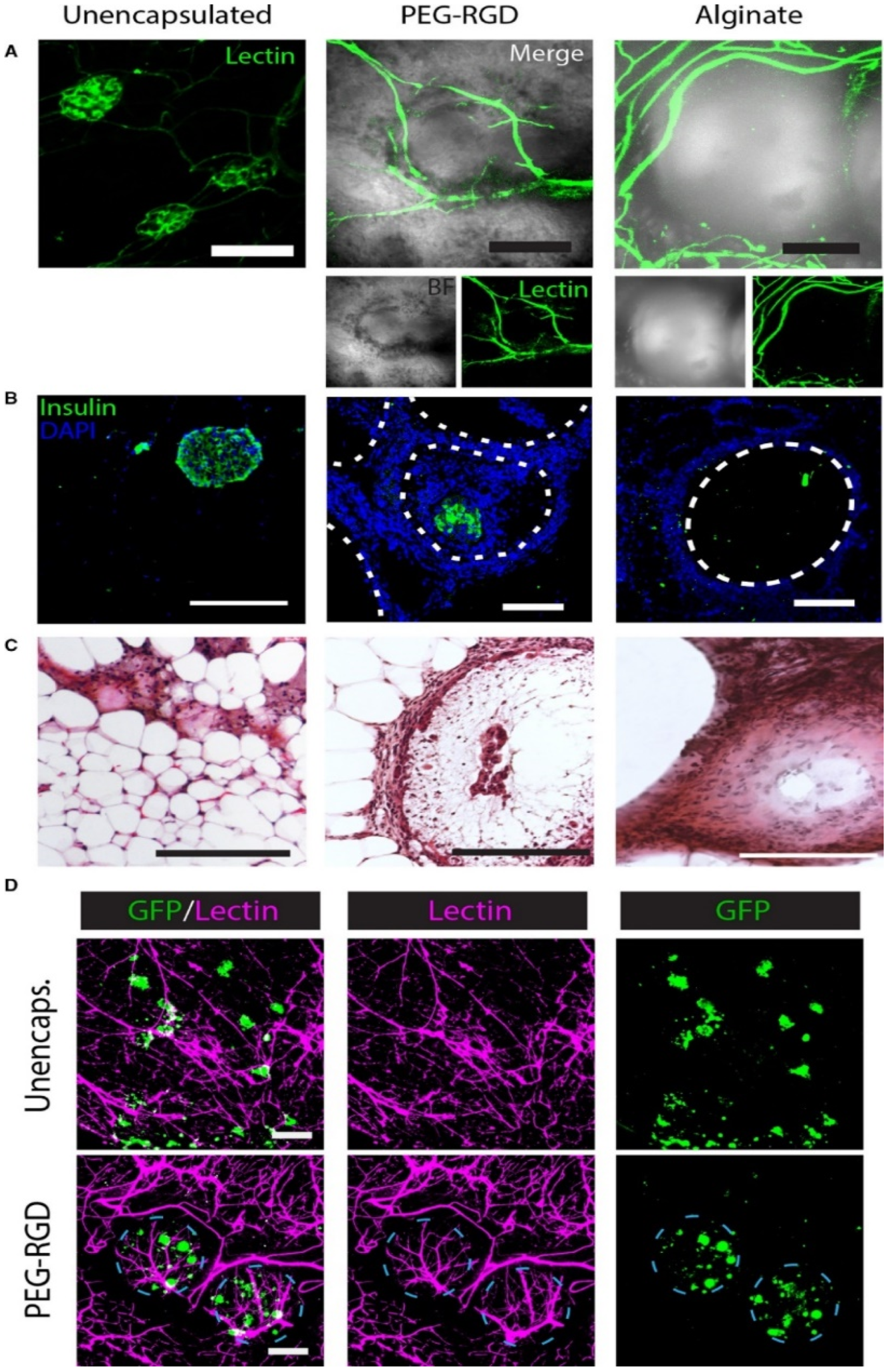 Polymers 14 05143 g003