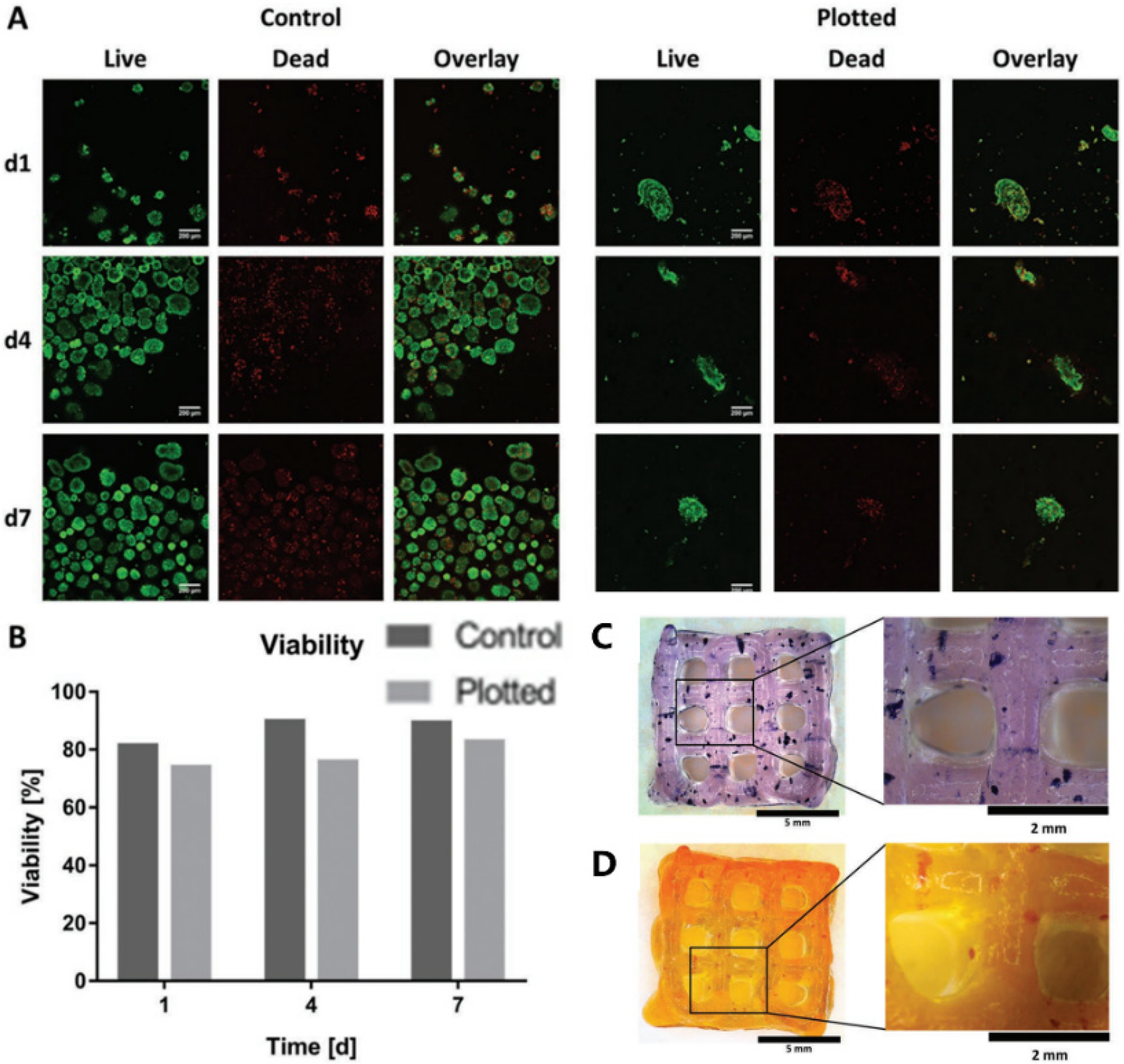 Polymers 14 05143 g005