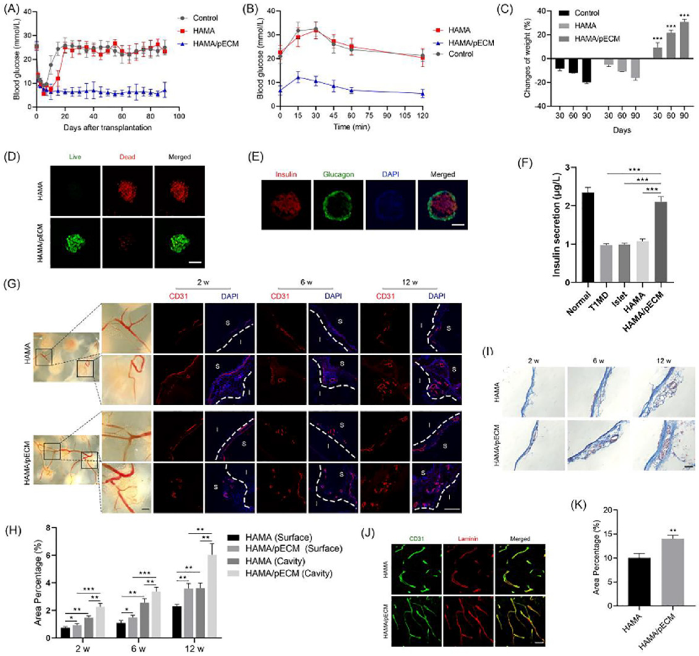 Polymers 14 05143 g008