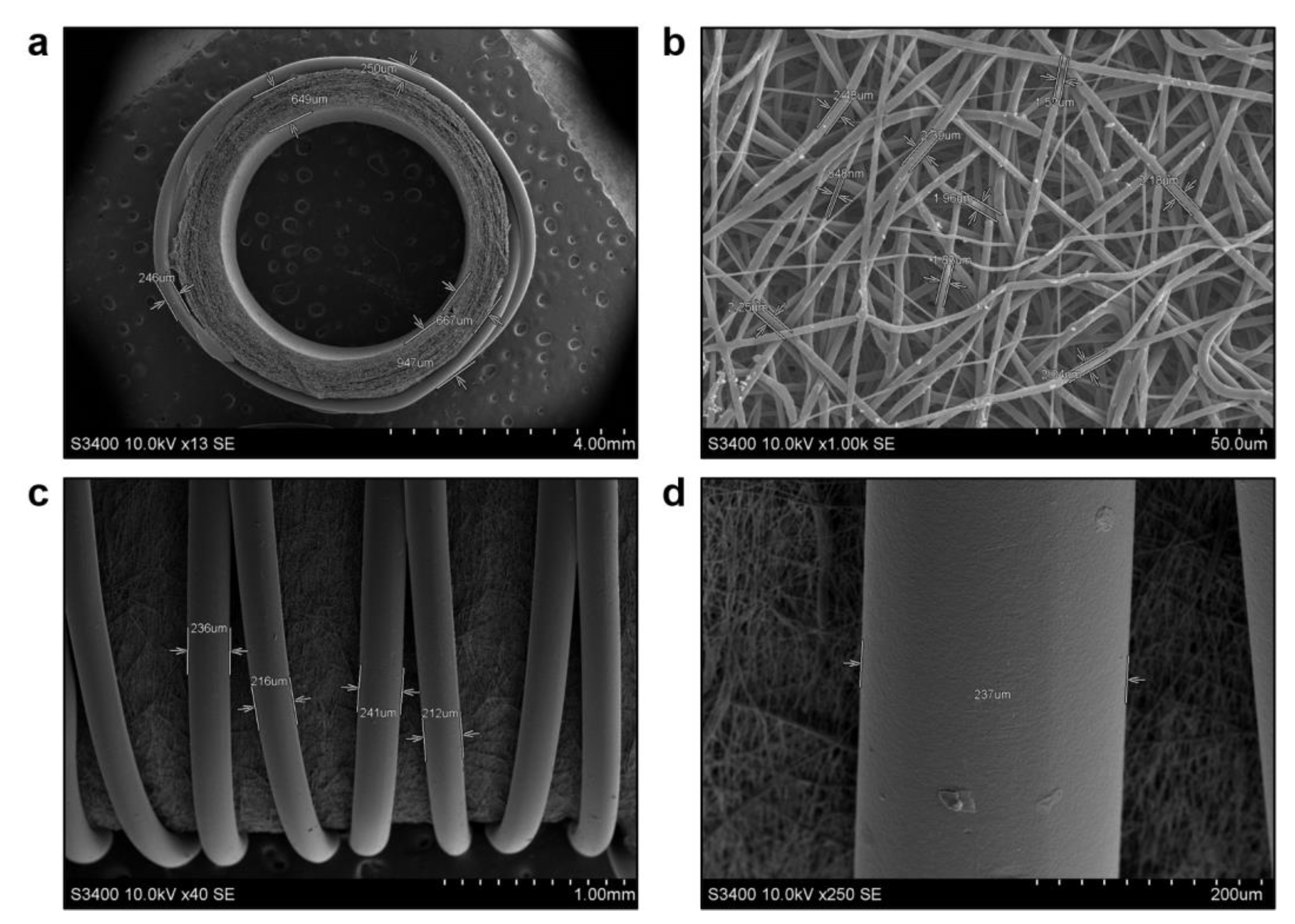 Polymers 14 05149 g001