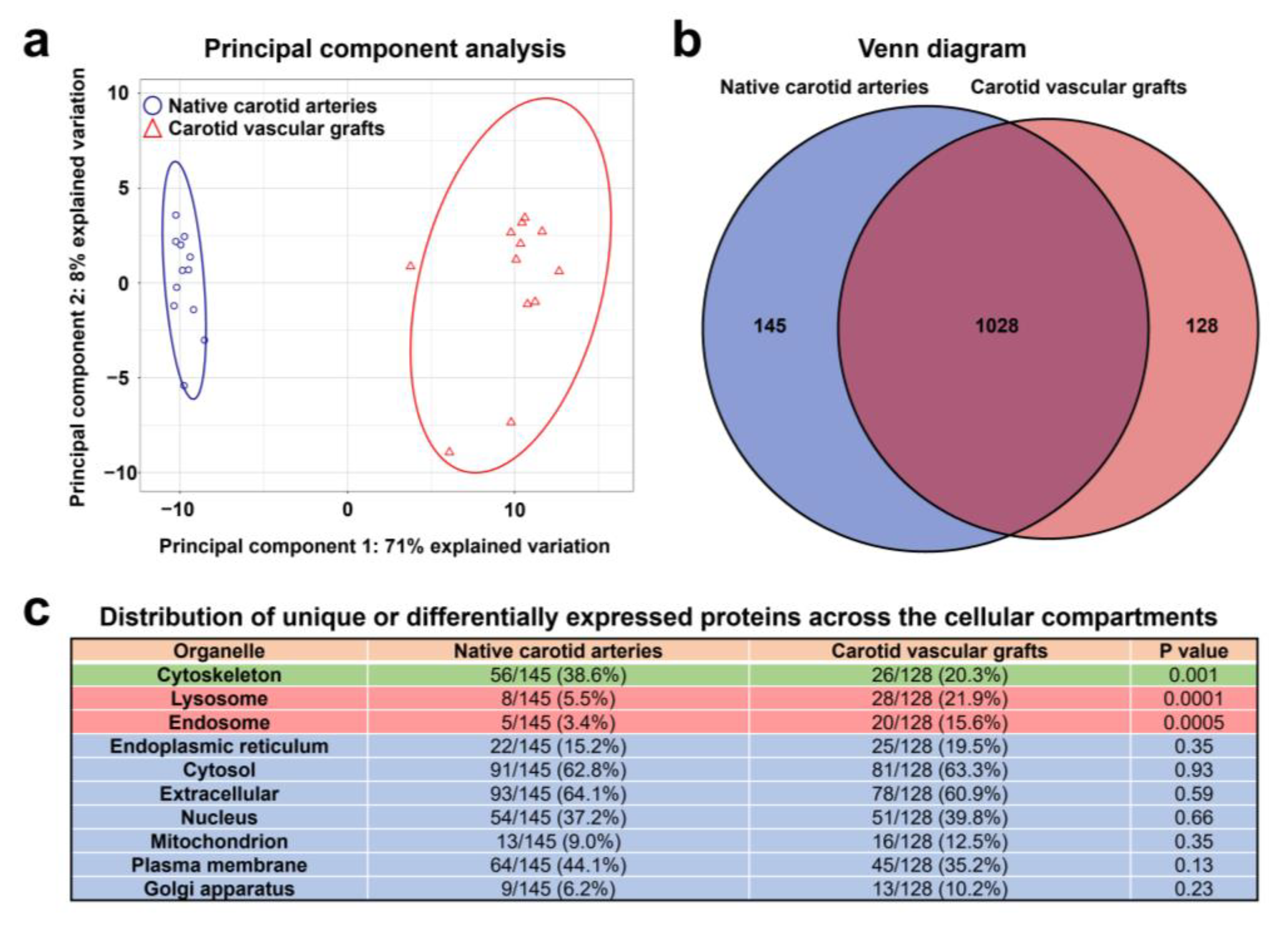 Polymers 14 05149 g009
