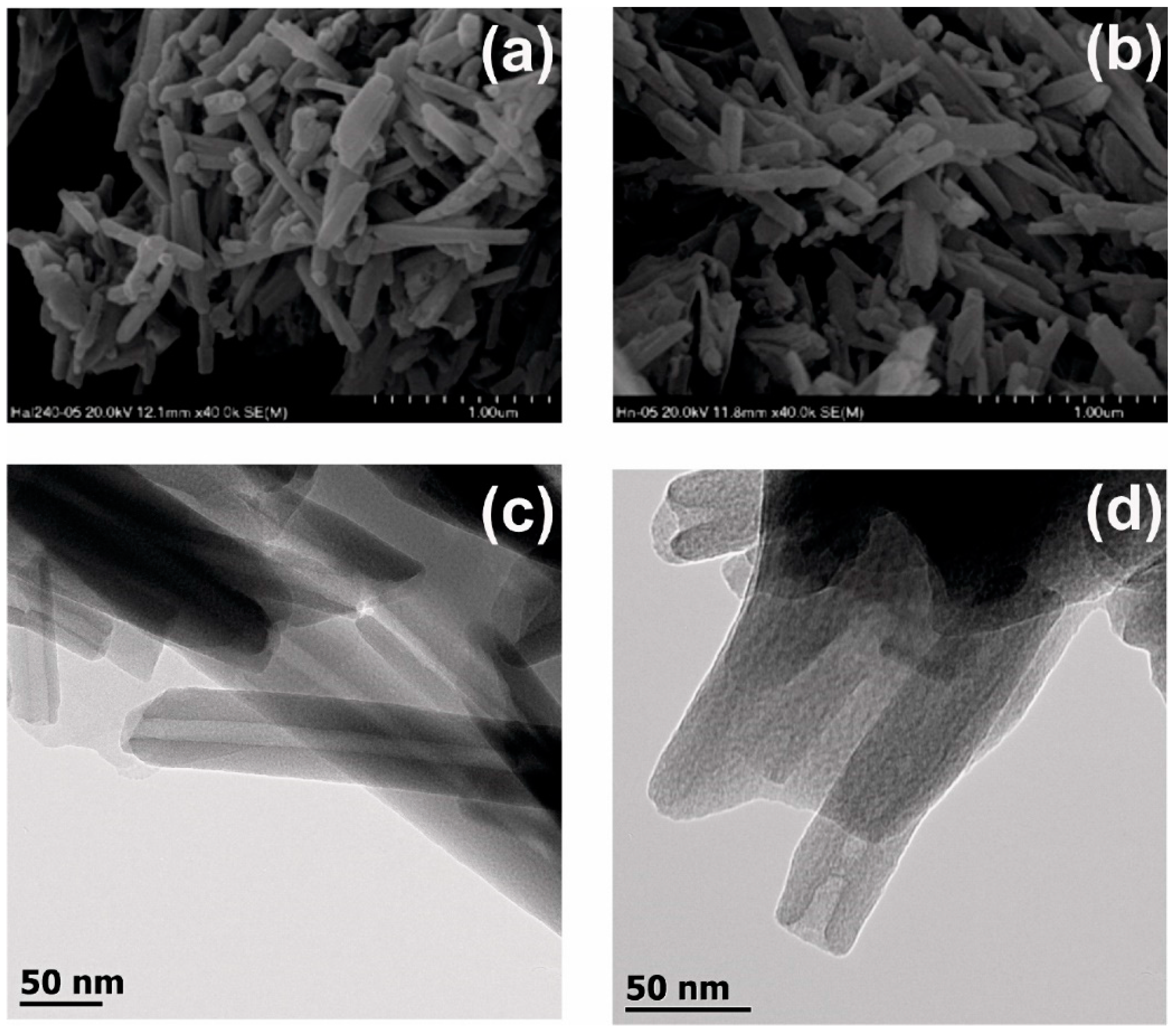 Polymers 14 05151 g001