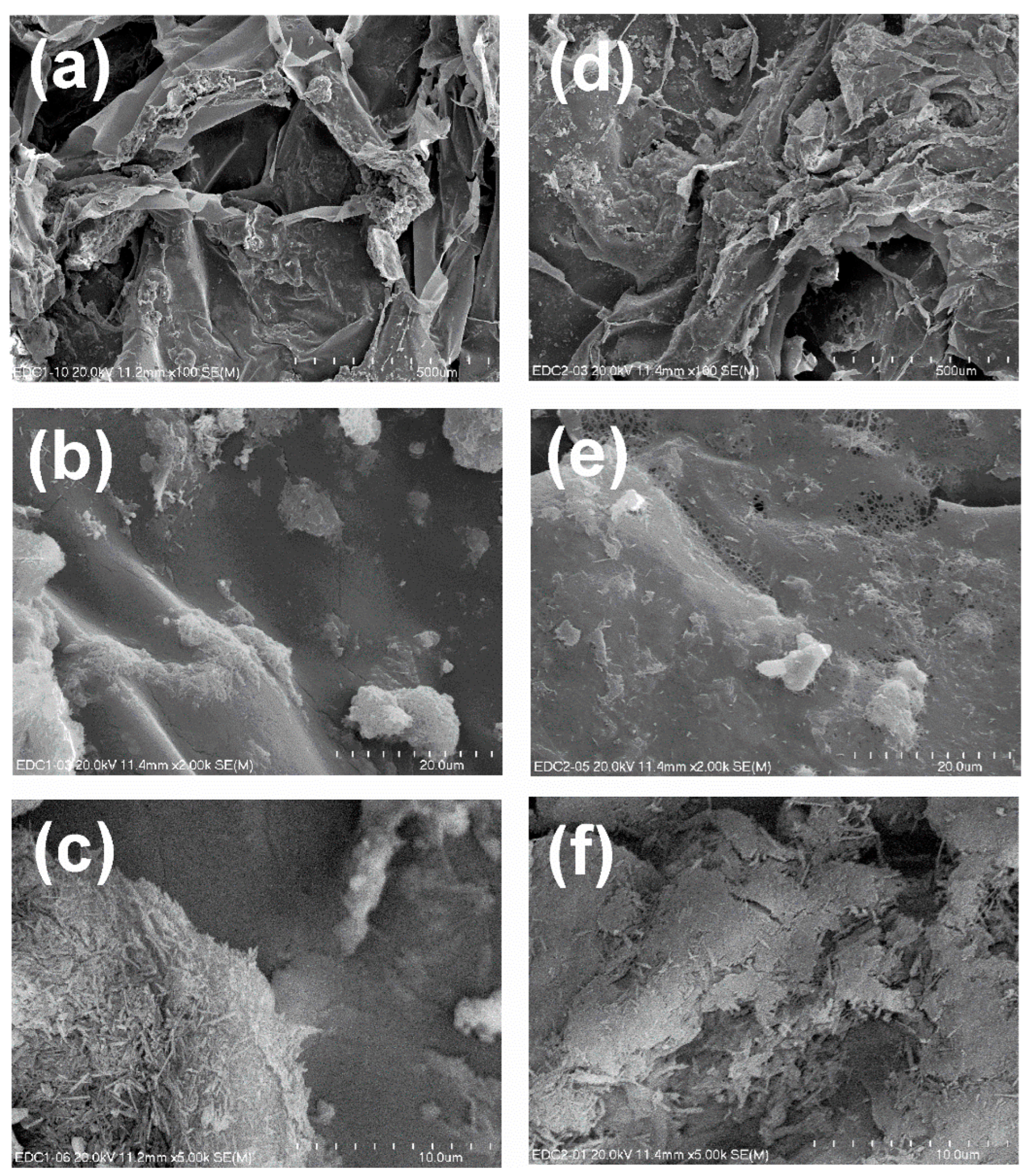 Polymers 14 05151 g005