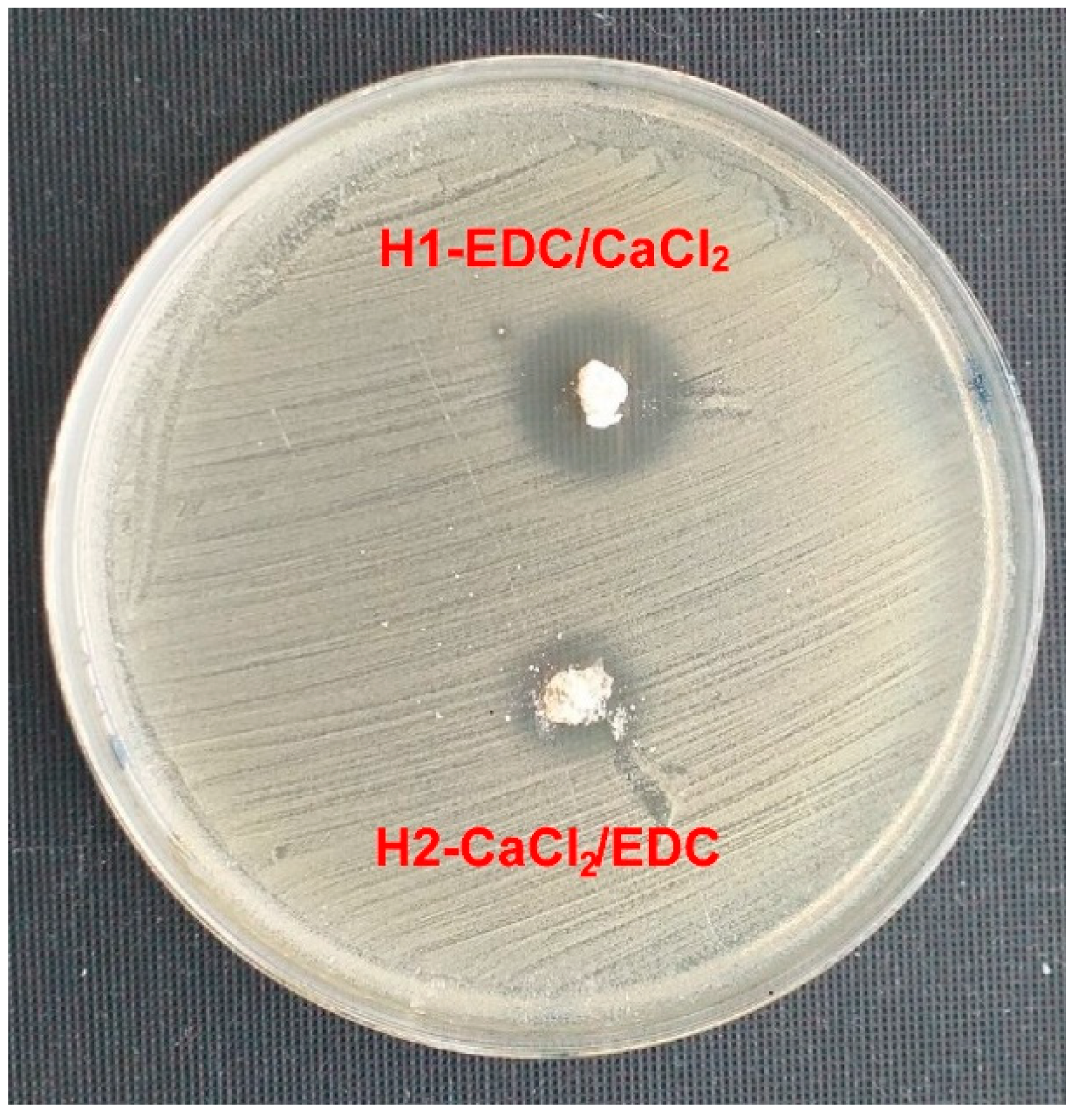 Polymers 14 05151 g008