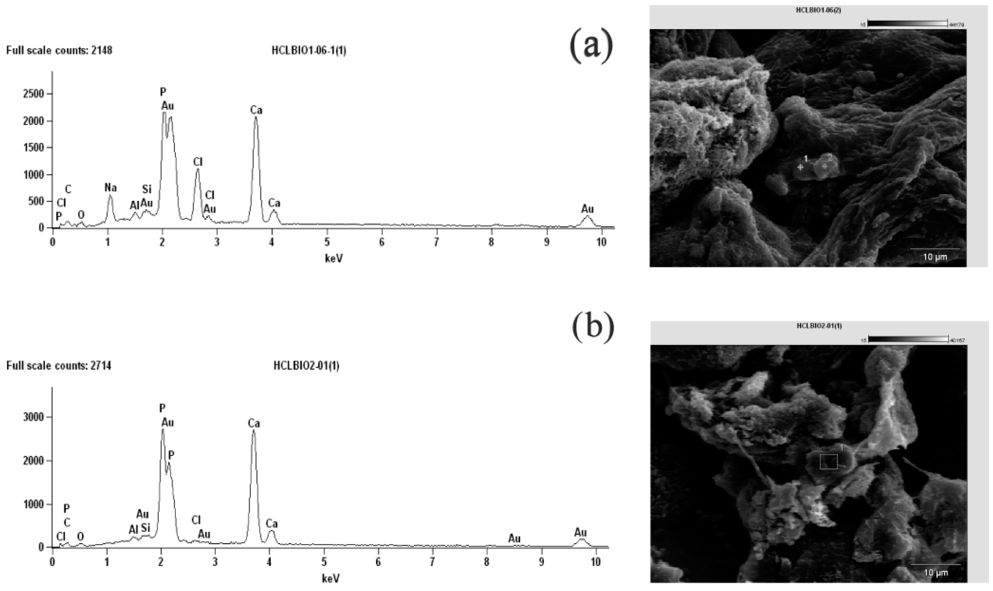 Polymers 14 05151 g009